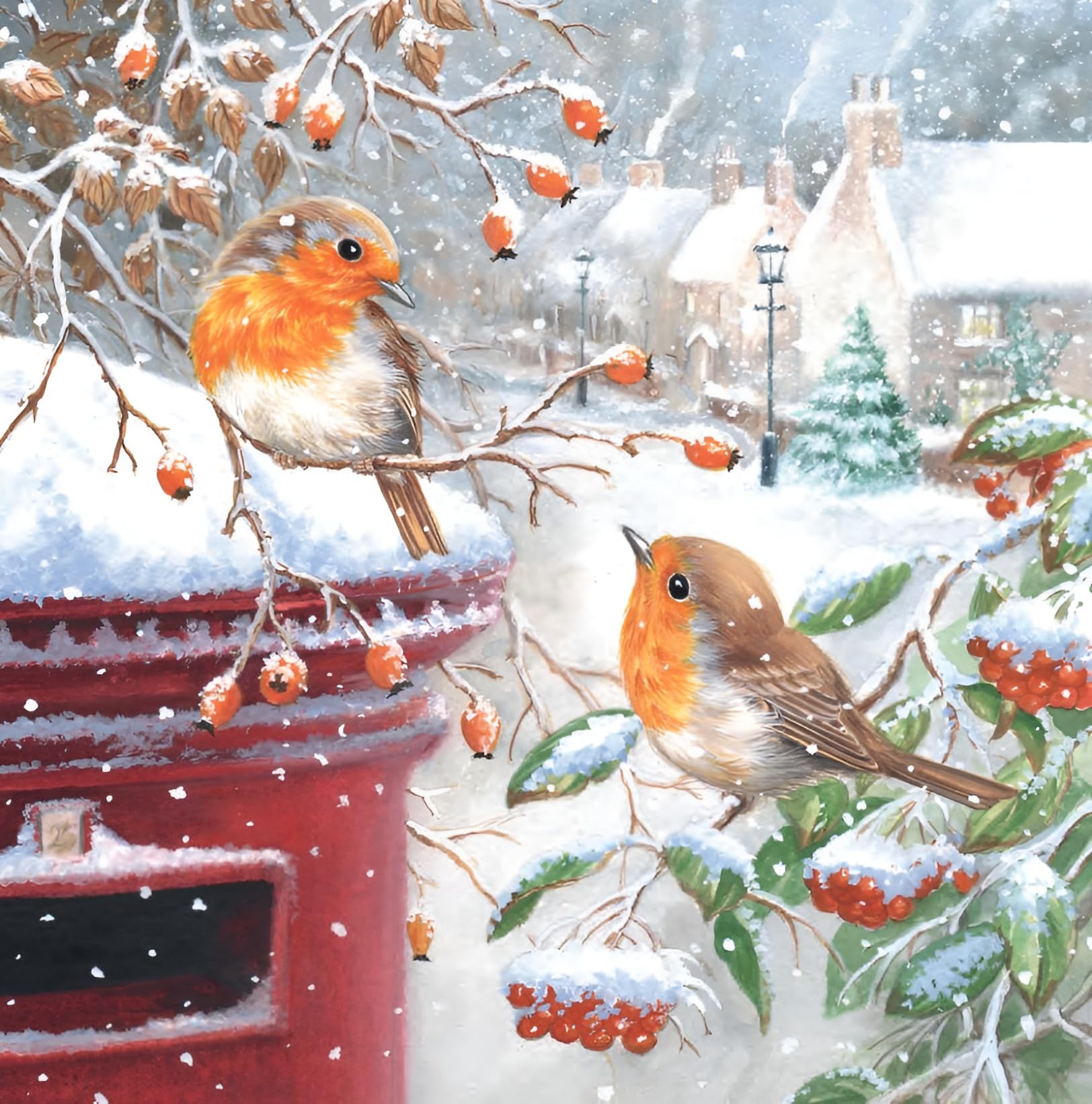 Noel Tatt Charity Christmas Cards Pack of 10, Assorted Robin Designs by Richard Macneil, 2 x 5 Robins and Post Box Scenes