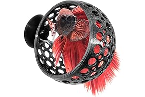 Cave Lounge: Recharge Haven for Bettas, Ideal for Rest and Play