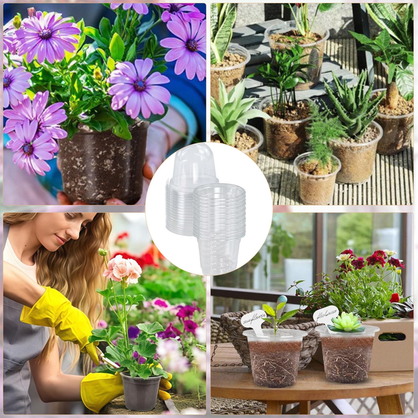 Pot de Fleurs, 24 Pièces Pot Transparent Plante avec Couvercles, 9 cm de Diamètre, Pots de Culture en Plastique, Pots de Fleurs avec 24 Étiquettes Plates, pour Plantes Grasses, Semis
