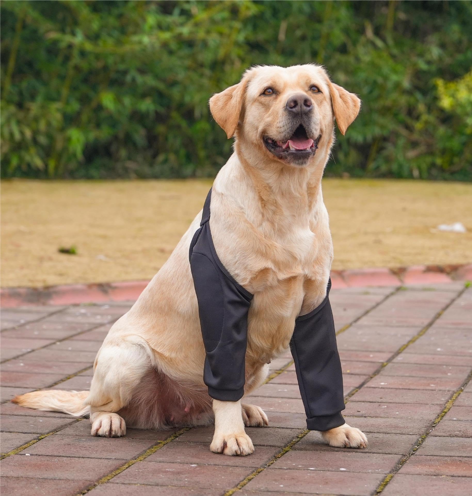 Kukaster Pet Ellenbogenbandage Hund Vorderbein, Ellbogenschoner für Hunde, Hundebody Nach OP Vorderbeine, Wundschutzanzüge Hunde mit Bein, Op Body Hund Leckschutz für Verletzung Hund, Schwarz, 2XL