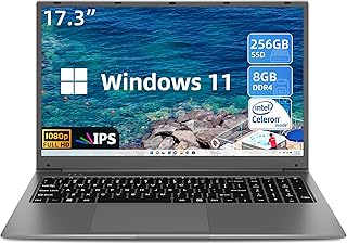 SGIN 17 Inch Laptop, Windows 11 Laptops Computer with 8GB RAM 256GB SSD, IPS Full HD Display, Intel Celeron Quad-core Processor, Mini HDMI, Webcam, Wi-Fi, Bluetooth, Expandable Storage 512GB TF