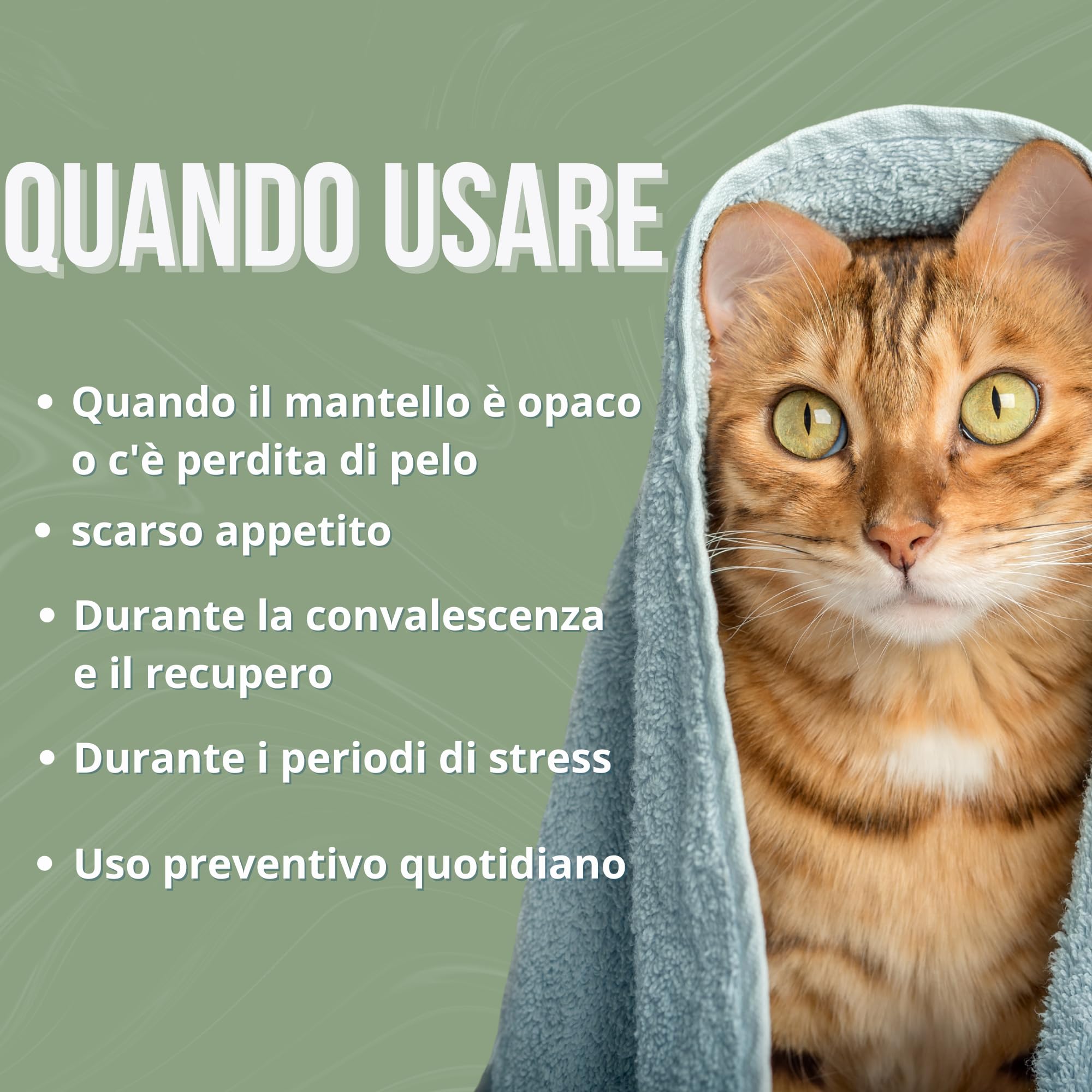 Inmucare Vitaminico Polvere Gatti 300 gr per stimolare l'appetito, sostenere il recupero in convalescenza e ridurre lo stress, aiuta nella perdita di appetito e fasi di debolezza