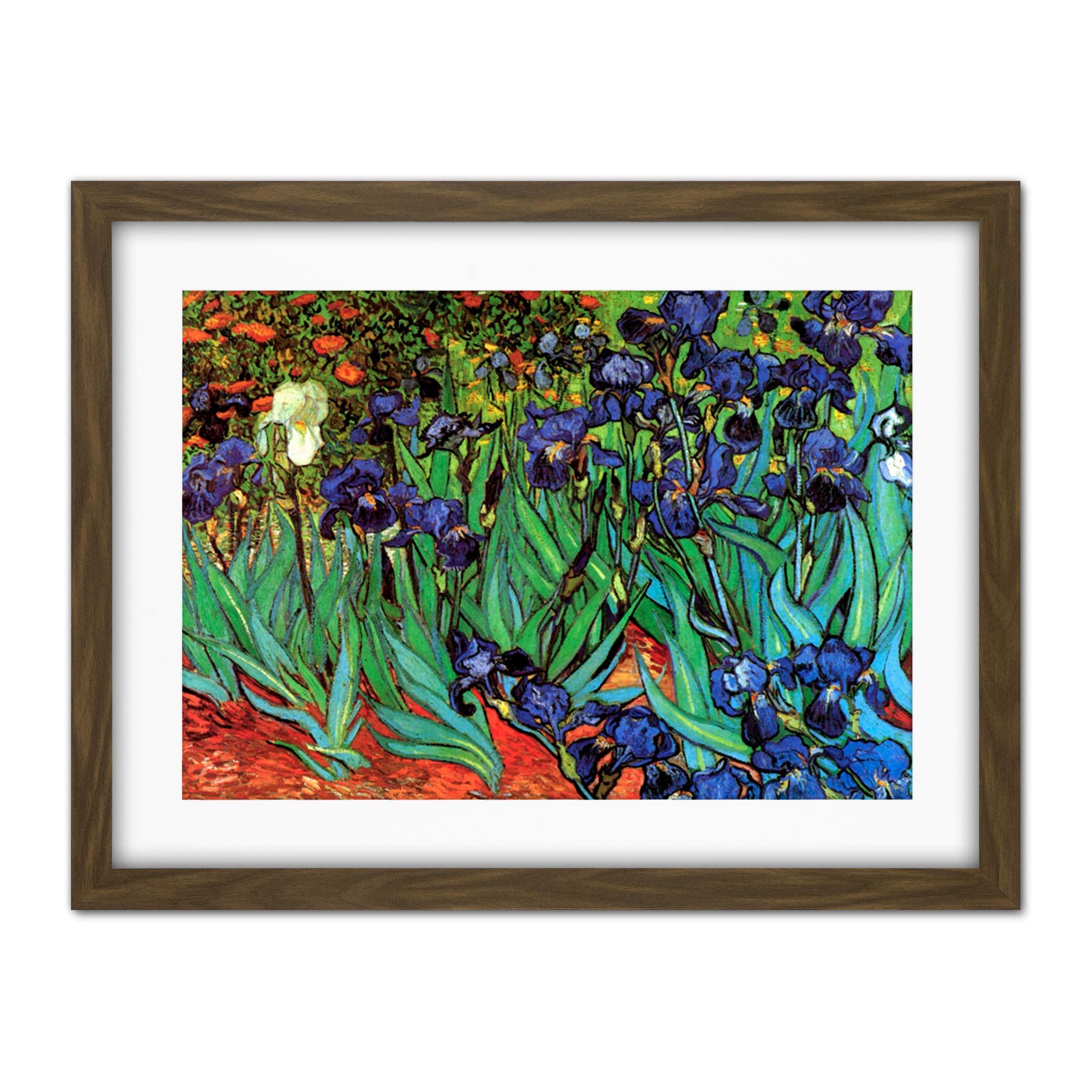 Wee Blue Coo Van Gogh Irises Artwork Framed Wall Art Print 18X24 Inch