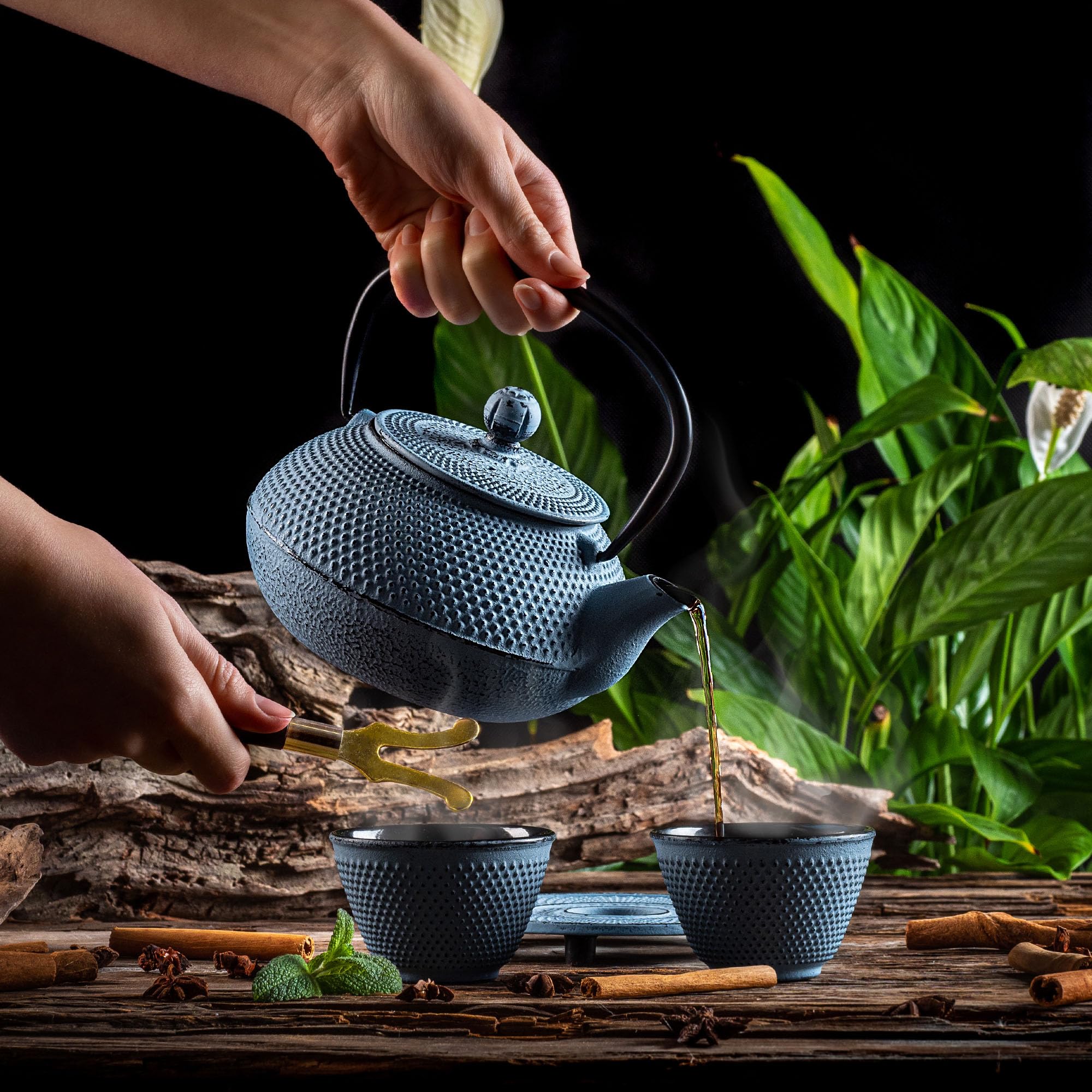 KADAX Tetera japonesa, hervidor de hierro fundido de 850 ml, jarra de 15 cm con filtro de malla y mango resistente, juego de té estilo japonés, jarra de hierro tradicional (azul)
