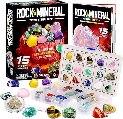 Miniatura 8 de XX TOYS Rock Stone Colletction Kit de ciencia geología para niños, muestras de regalo, 15 lupas incluidas