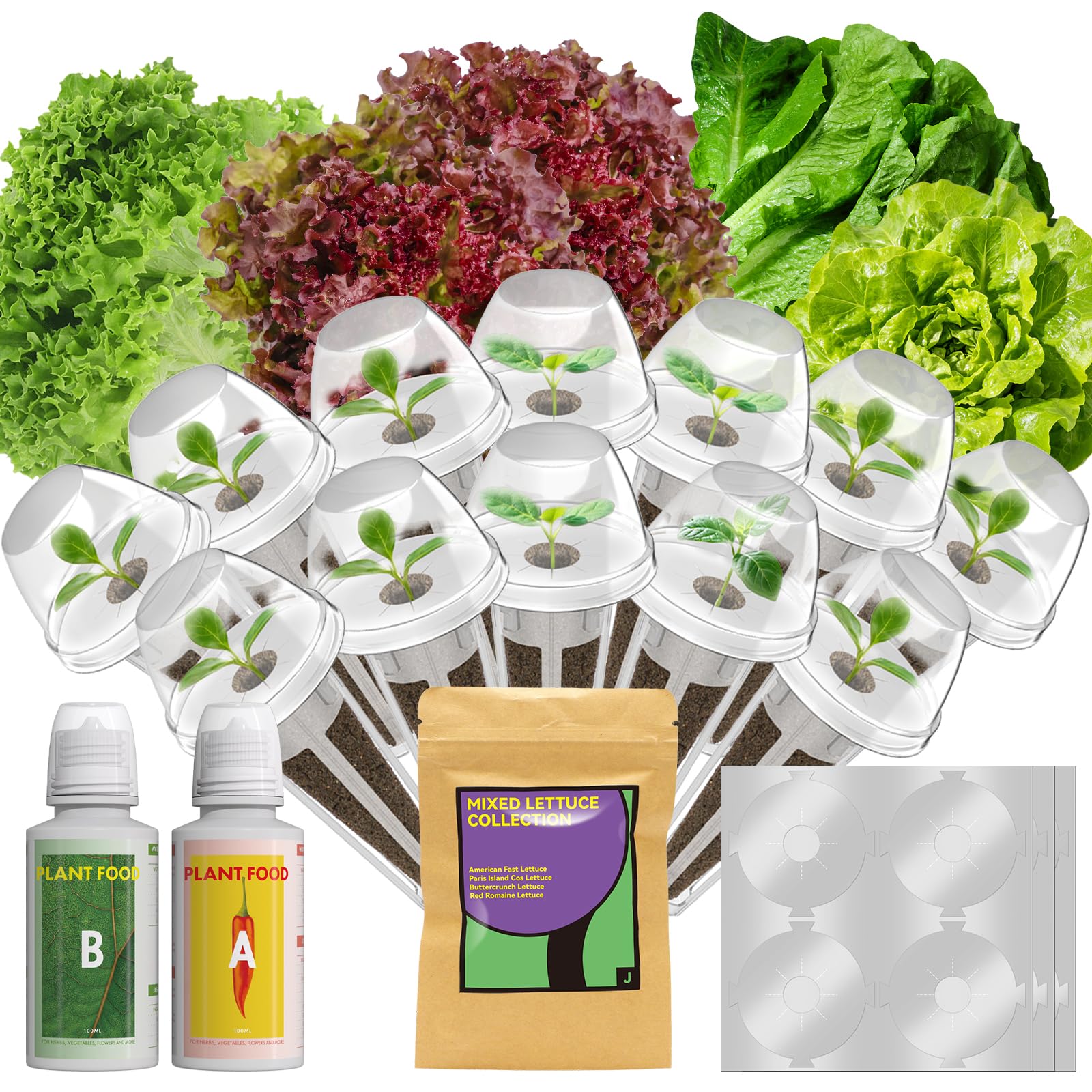 LYKOCLEAN Red Romaine Lettuce Seed Pods