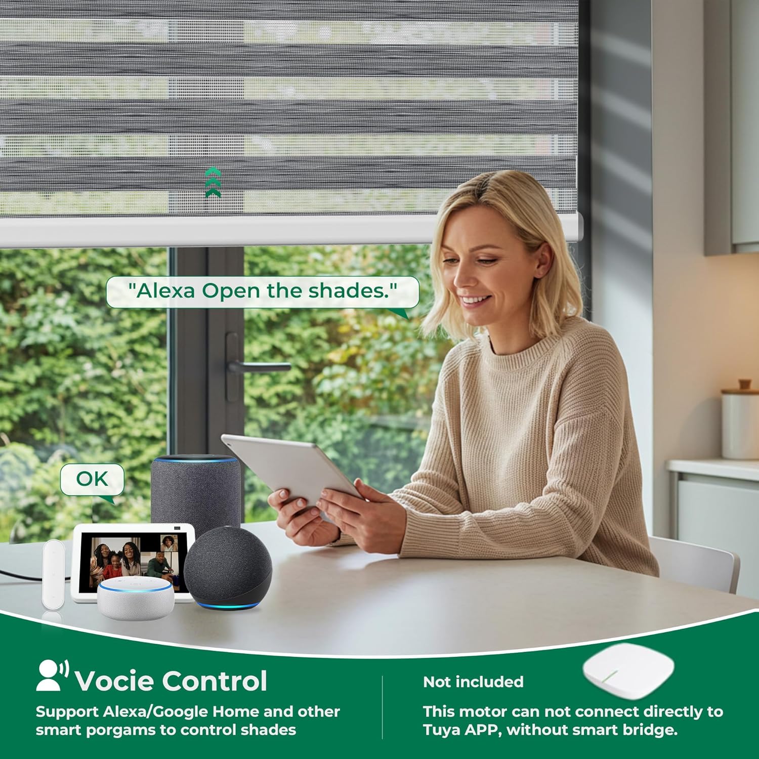 Allesin No Drill Motorized Zebra Shades with Remote Control, 60% Light Filtering Smart Blinds for Apartments & Rentals – Compatible with Alexa, Automatic Day/Night Adjustment (Rock Gray 33.5" Wx72 H)