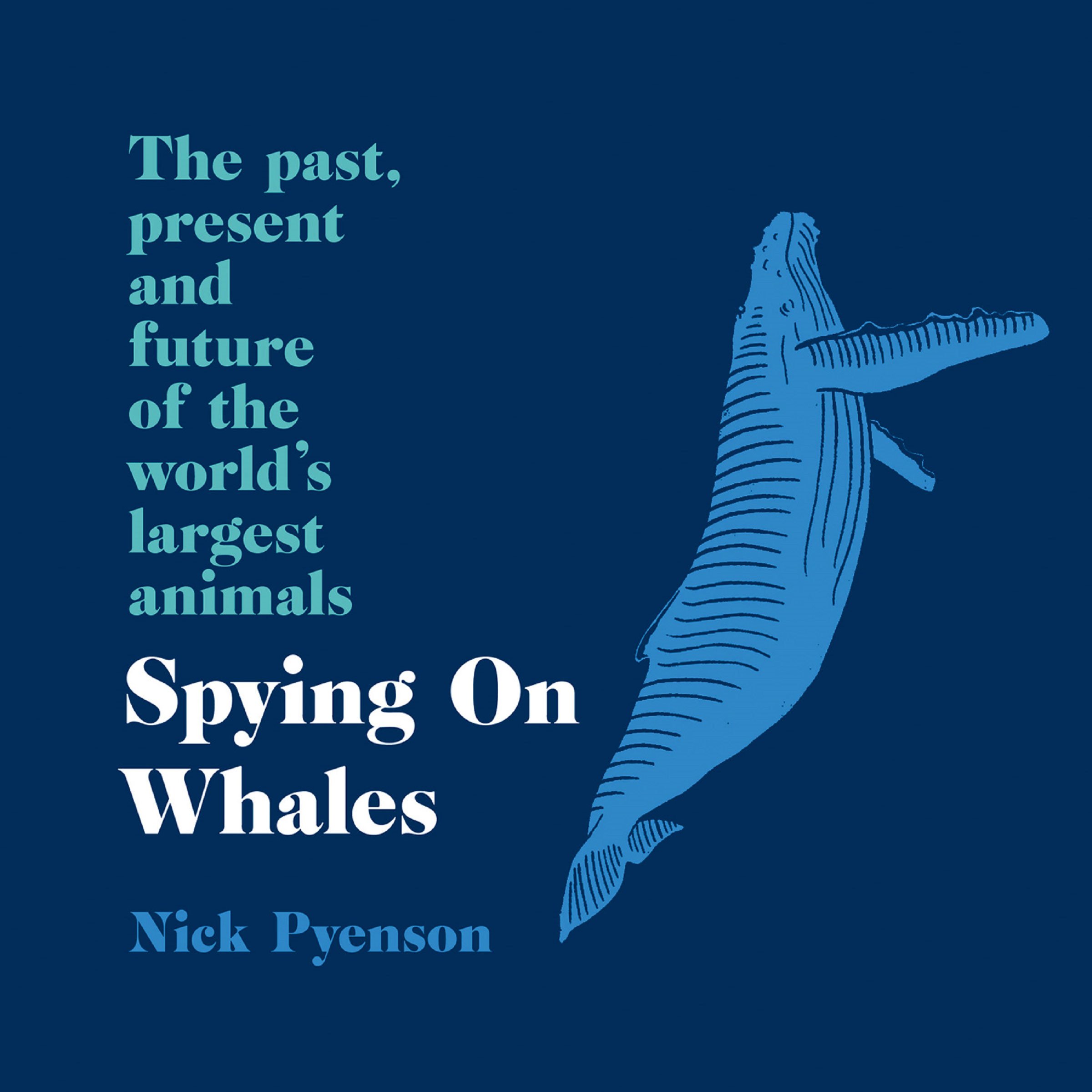 Spying on Whales