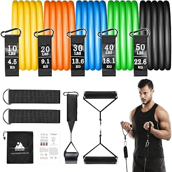 Resistance Bands Set, Workout Bands with Handles, 5 Levels