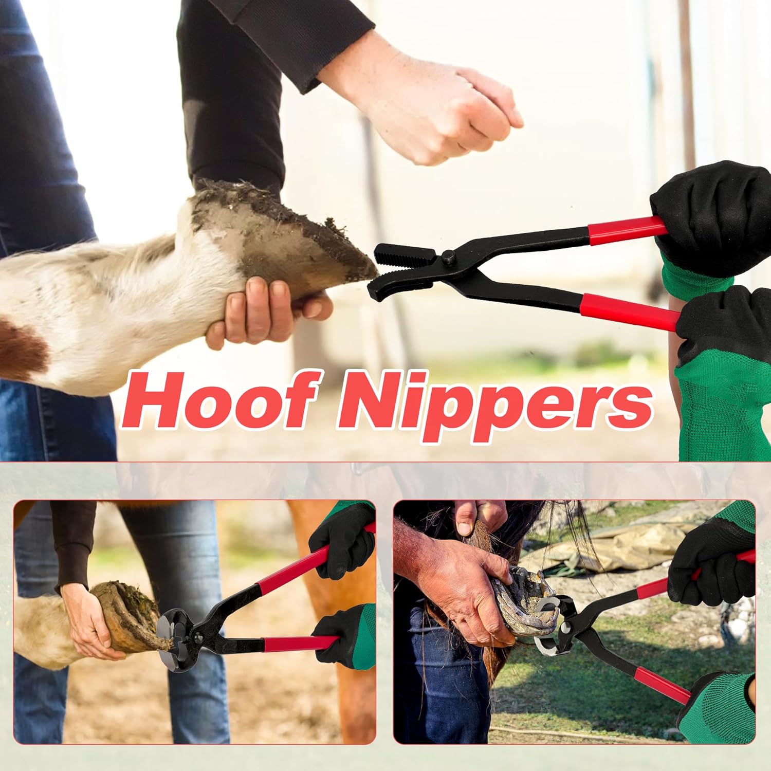 8Pcs Farrier Hoof Tool Kit Horse Hoof Trimming Tools Farrier Hoof Nippers, Horseshoe Cutting Pliers, Hoof Rasp File, Horseshoe Brush, Hoof Knife, Hoof Hammer for Horses Cattle Sheep Donkeys