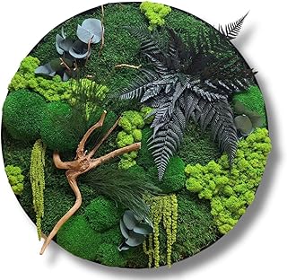 HelloMoss Moss Pictures with Frame 40 cm - Moss Picture XXL with Iceland...