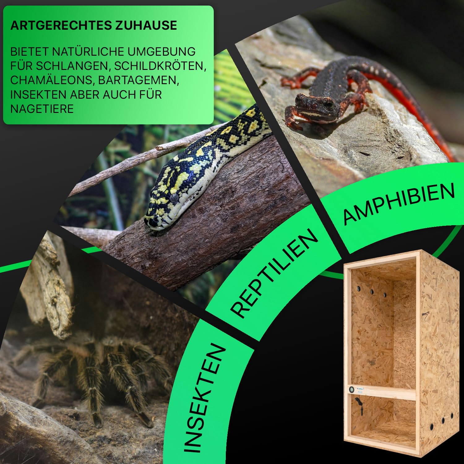 ITA Hochterrarium 60x120x60 cm mit Seitenbelüftung & Integriertem Hygrometer - Holz Terrarium aus OSB-3 Platten - Terrarien für Reptilien, Schlangen, Amphibien - EU Produkt, FSC Zertifiziert