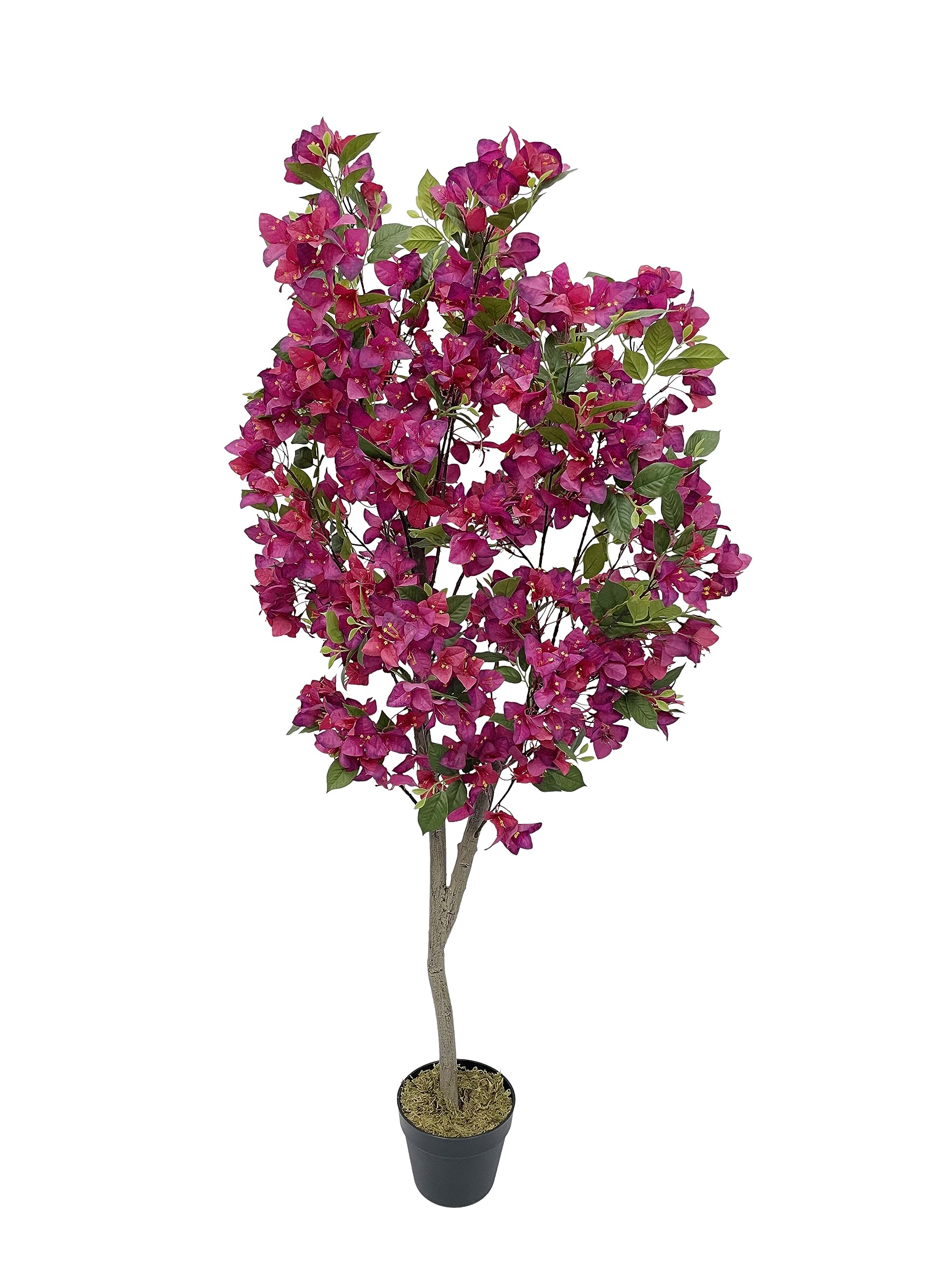 Garden Art Artificial Bougainvillea Plant | Interior Decor/Home Decor/Office Decor | 5 Ft. Tall Natural Looking Real Touch Plant with Pot (B0CH9TGSHF) Amazon Price History, Amazon Price Tracker
