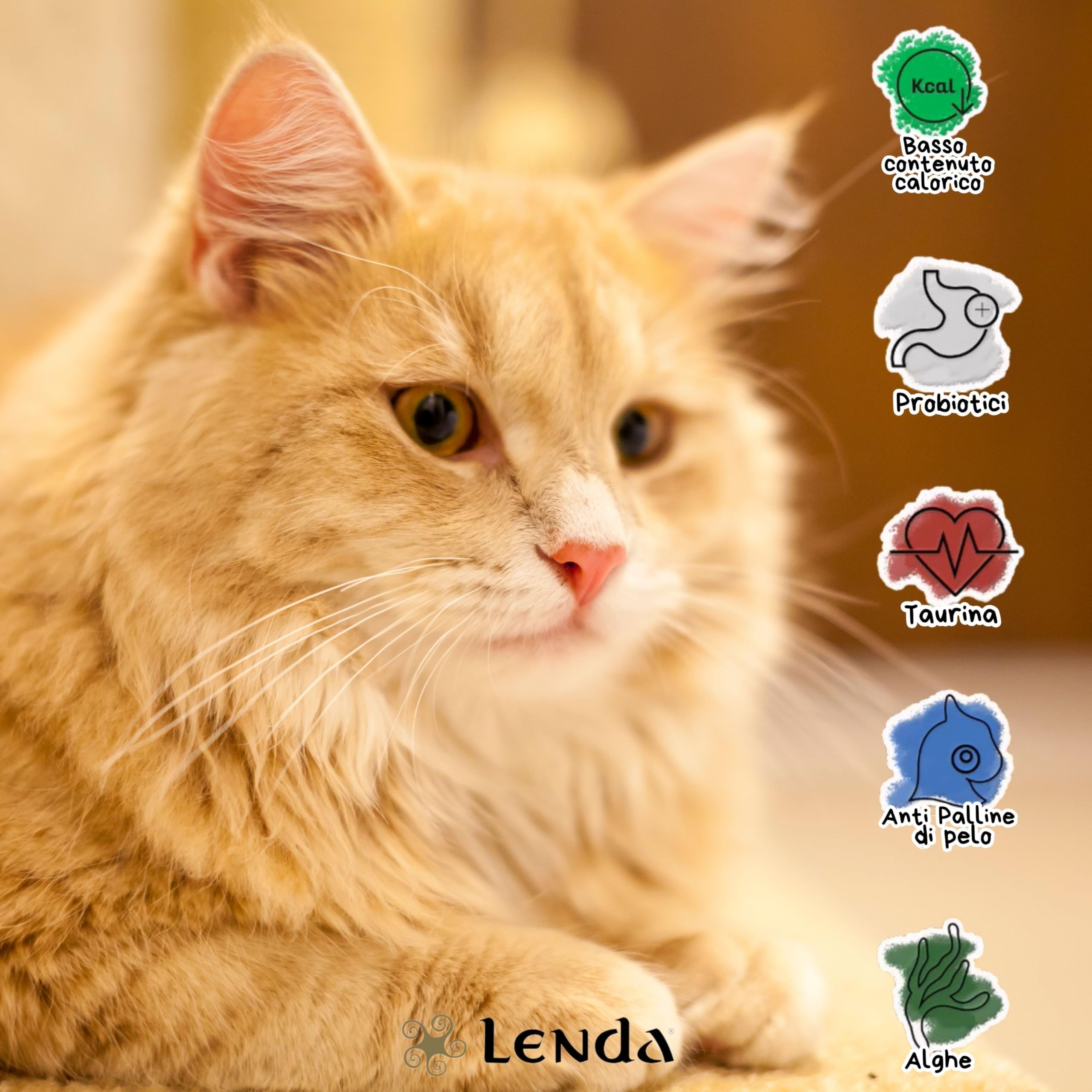 Lenda Gatto Adulto Pollame 7 kg - Crocchette Senza Cereali per Gatti Adulti - Croccantini Naturale Ipoallergenico con Botaniche e Probiotici - Cibo Completo per Gatti