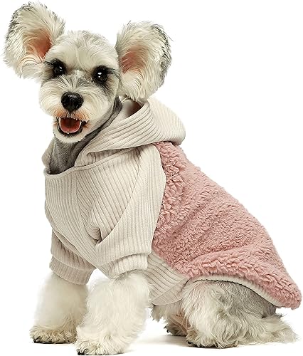 Miniatura 2 de Fitwarm - Abrigo térmico de terciopelo para perro, ropa de invierno para mascota hembra, chaqueta para mascotas, sudadera con capucha para gatos,