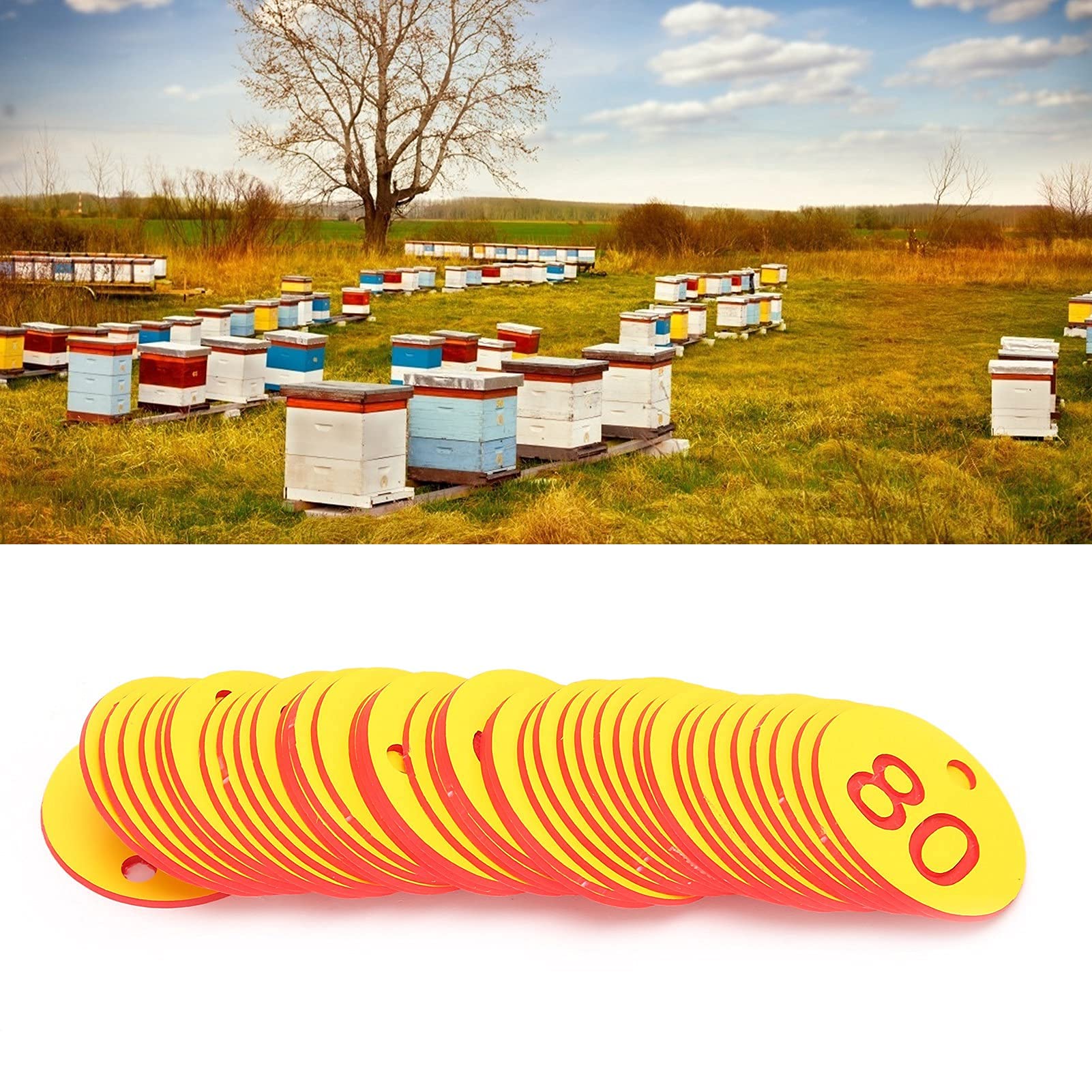 Marcatore Alveare Numero Perforato 50 Pezzi Rosso Giallo per Apicoltura Allevamento