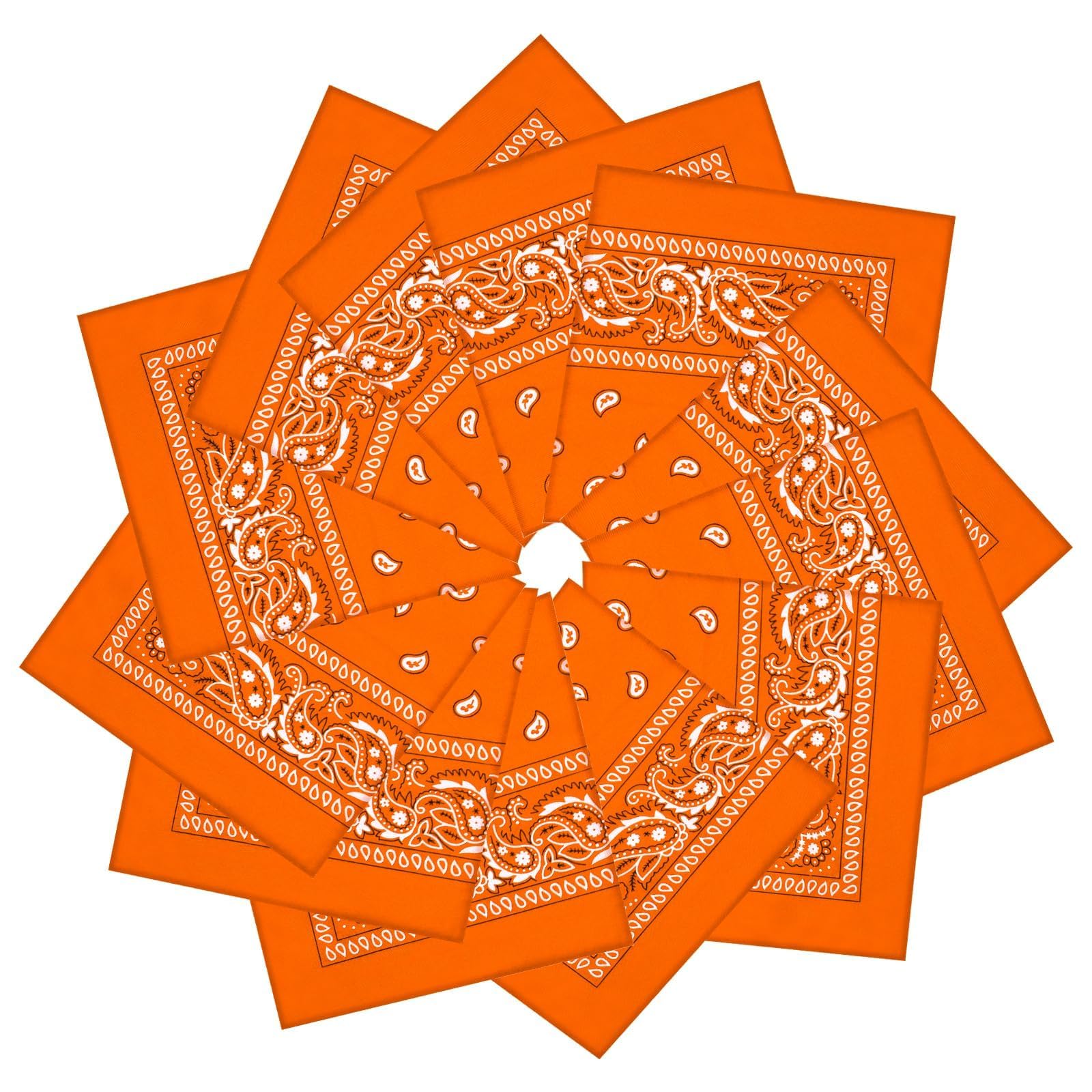 12 Pack Bandanas Unisex Paisley Cowboy Bandanas Bulk Multi Purpose Headband Scarf for Men Women Costume