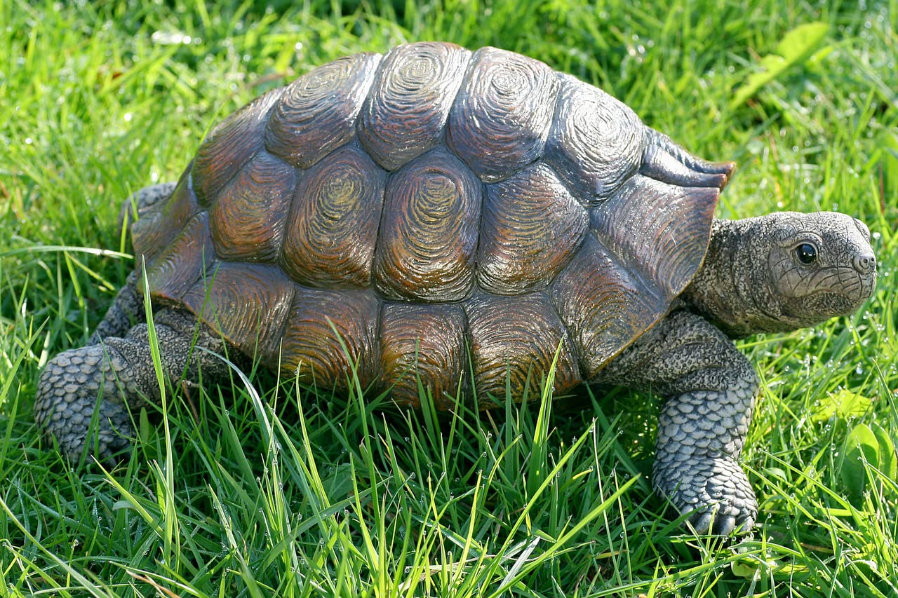 Figurine Tortue décorative en résine, Environ 34 cm x 25 cm x 14 cm