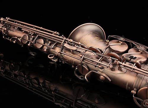 Miniatura 28 de Kit de cuidado para saxofón con 11 reeds, 8 para saxofón alto cojines, funda, Glory E Flat, Dorado