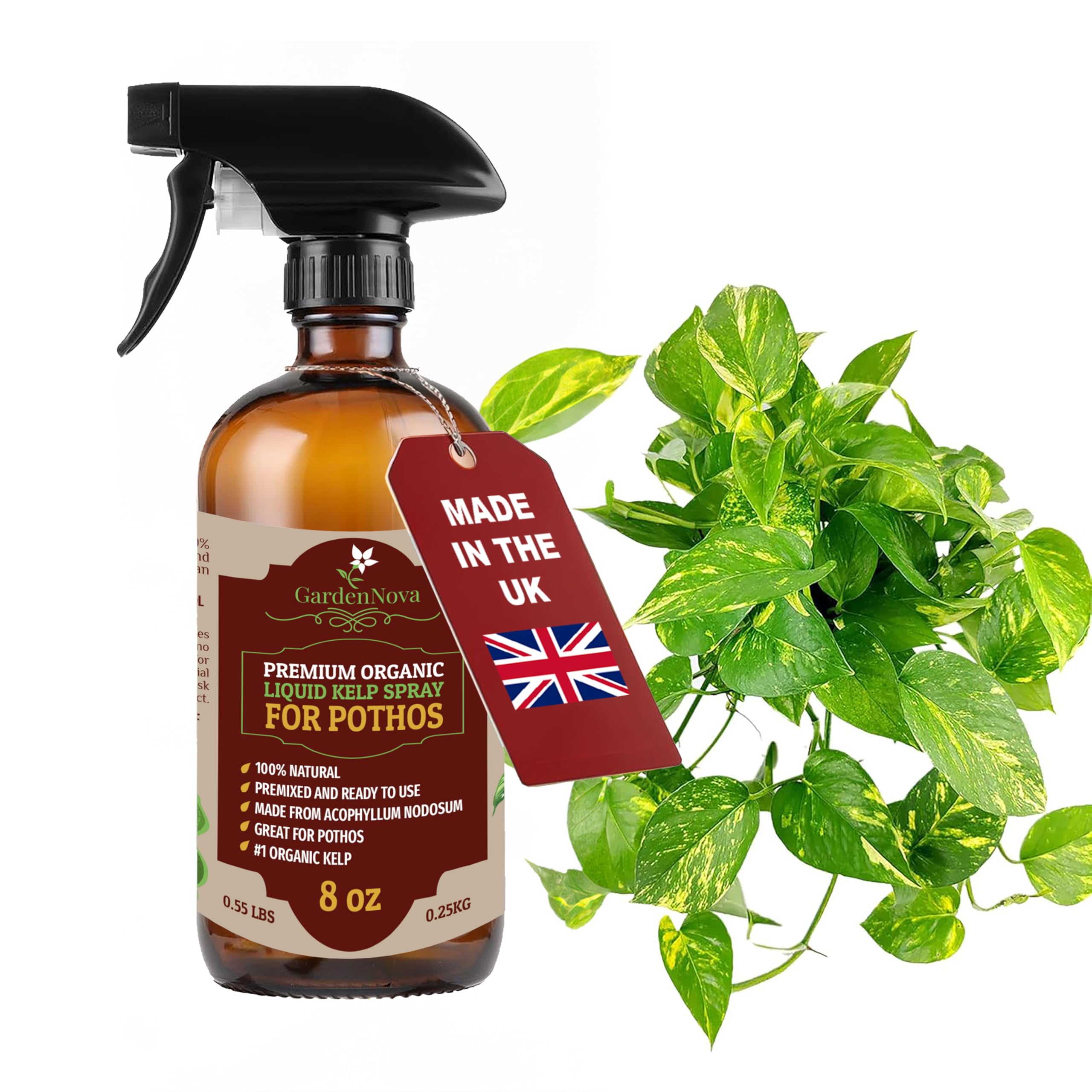 GARDENNOVA Professional Organic Liquid Kelp Spray for POTHOS - 8 oz - Ready-to-Use Fully Organic Seaweed & Kelp Fertilizer Mist