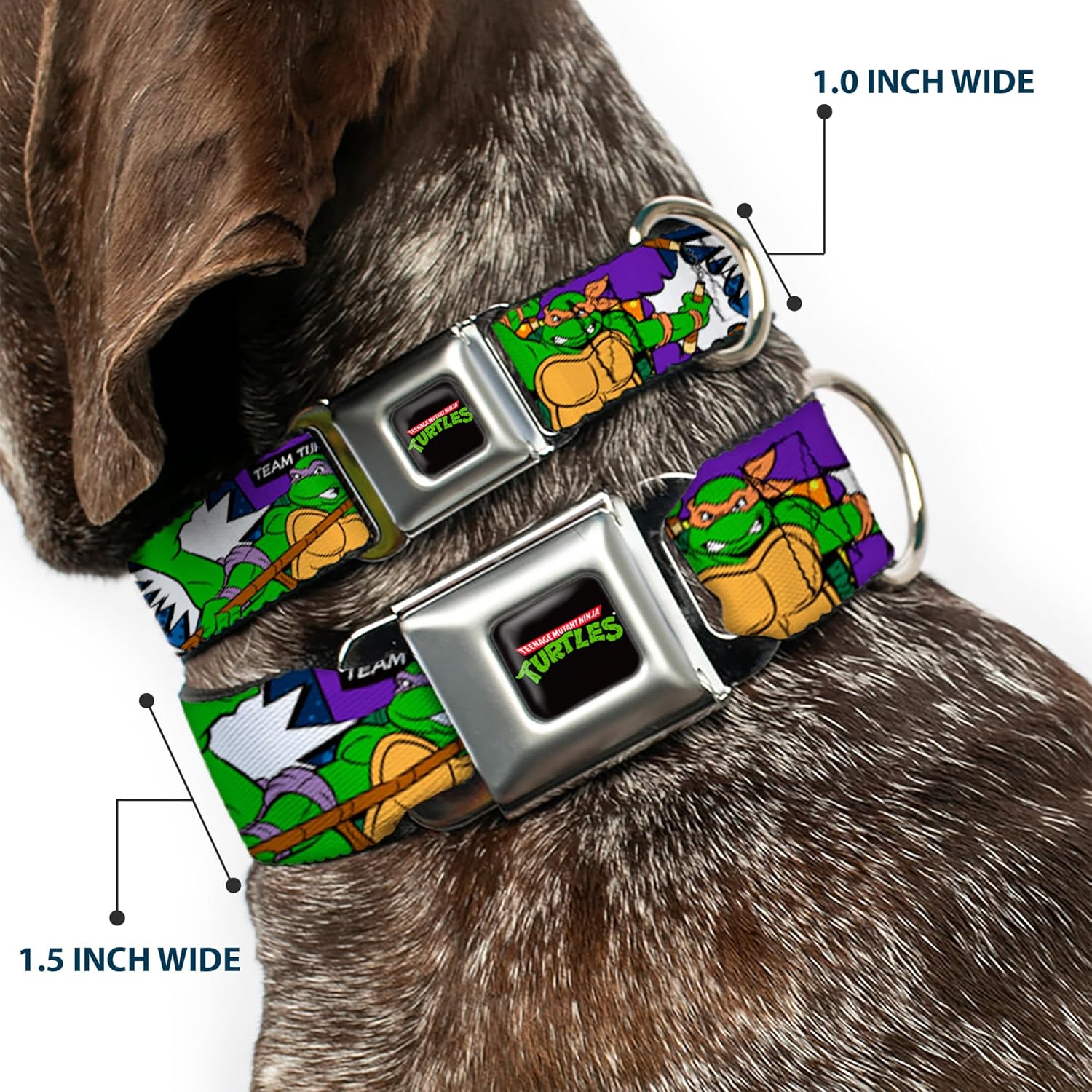 Dog Collar Seatbelt Buckle Ninja Turtles Action Poses Team Turtles 9 to 15 Inches 1.0 Inch Wide