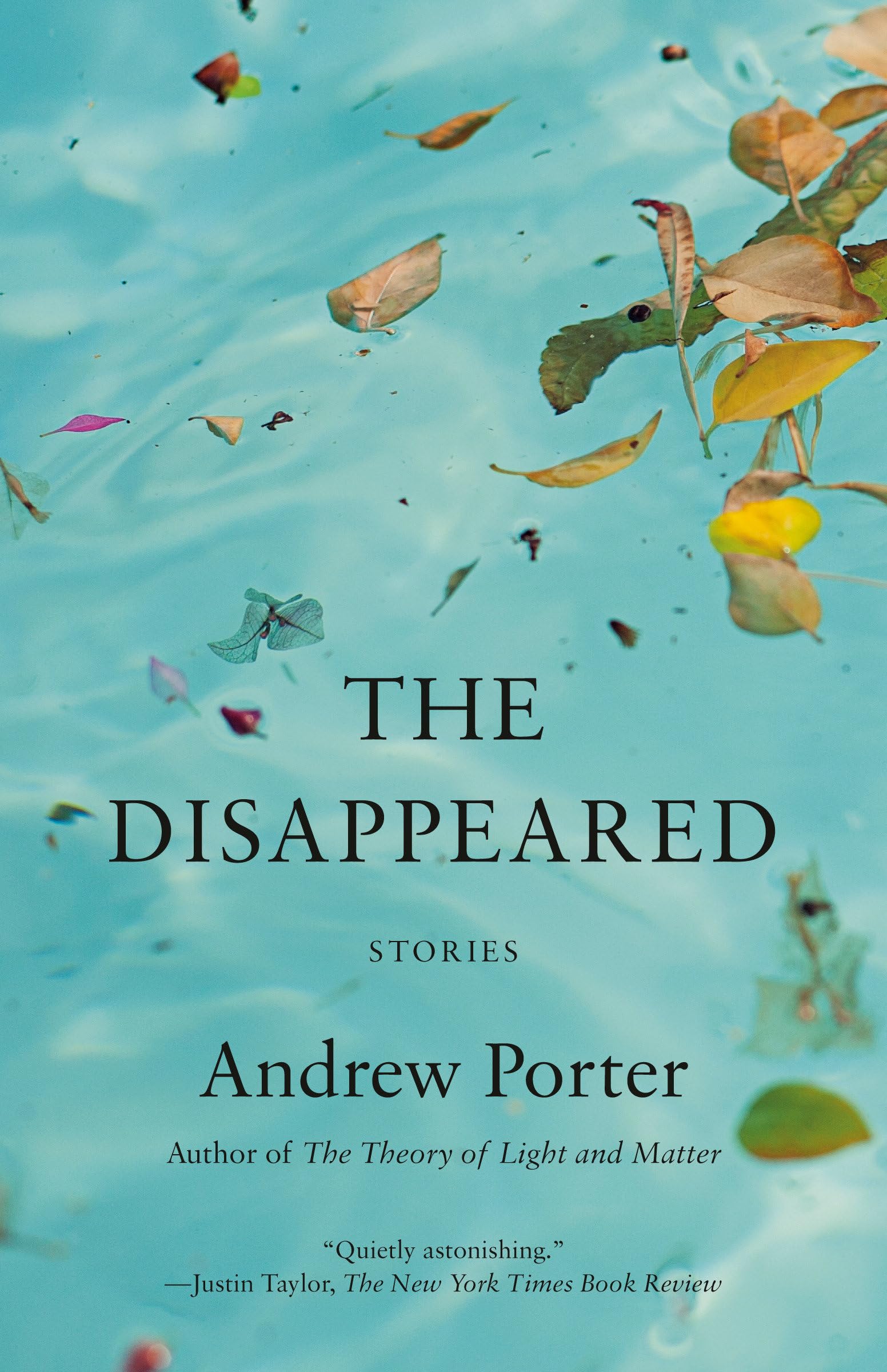 The Disappeared Stories by Andrew Porter (Paperback Book)