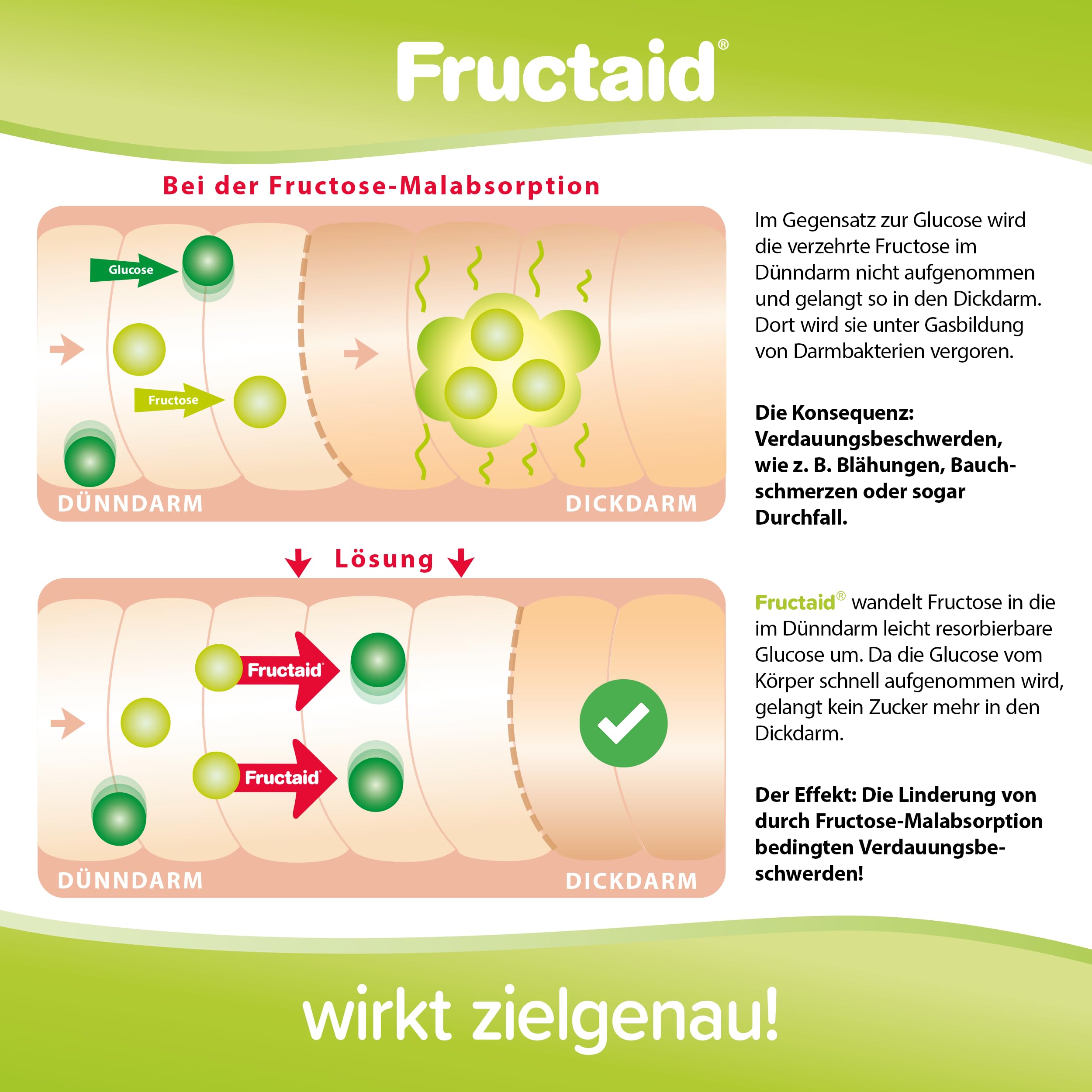 pro natura Fructaid – 120 cápsulas para intolerancia a la fructosa, suplemento para la prevención y el alivio de la mala absorción de fructosa indigestión