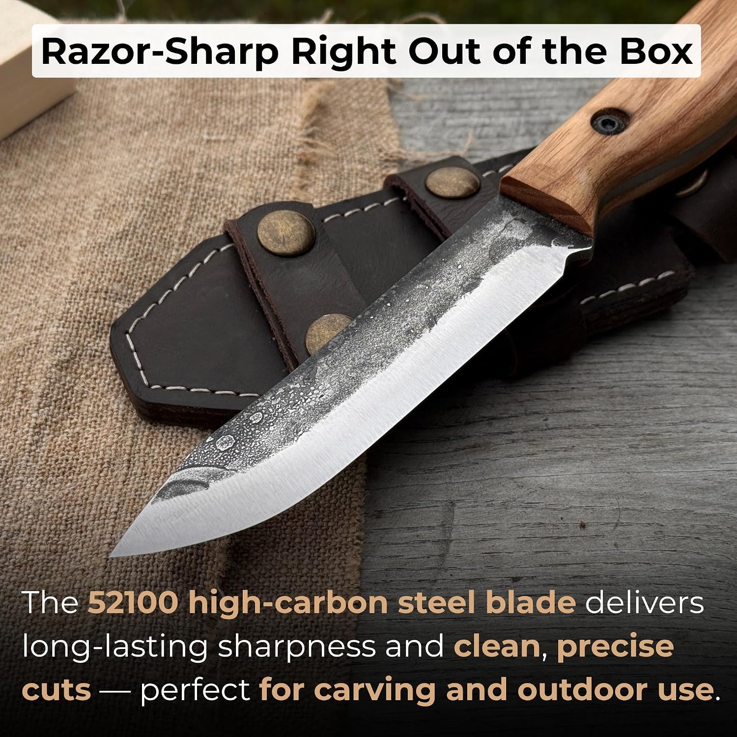 Sharky Bushcraft Knife Fixed Blade With Leather Sheath 3.9 Inches High Carbon Steel Camp Tool For Hunting Camping Survival Belt Carry Outdoor Use