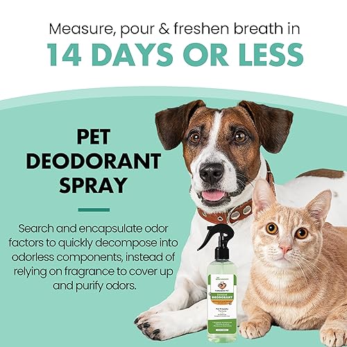 Miniatura 3 de FURBABIES PET Desodorante en aerosol orgánico Natural Spray Eucalipto Menta Limpio Olor Fresco Olor Eliminador de Olores Eliminador de Olores