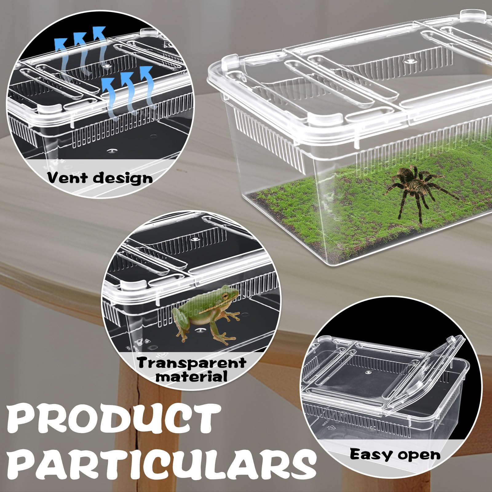 10 PCS Reptile Feeding Box, Isopod Enclosure Plastic Terrarium - Image 3