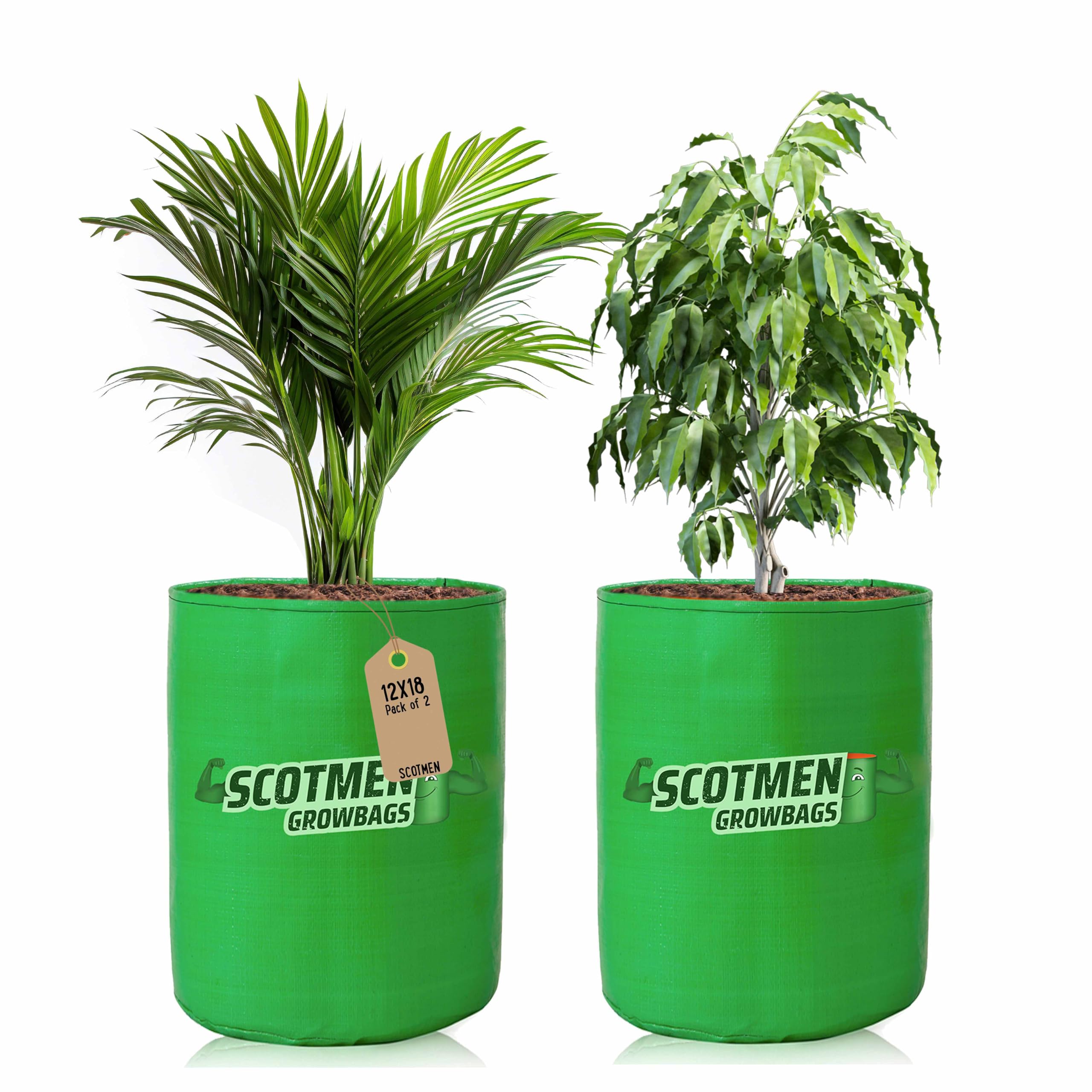 See full amazon price history chart for SCOTMEN HDPE UV Protected Green Grown Bags for Terrace Vegetables Gardening Plants Growing Bags, 12x18 Inch, Pack of 2 SCOTMEN HDPE UV Protected Green Grown Bags for Terrace Vegetables Gardening Plants Growing Bags, 12x18 Inch, Pack of 2 (B08541C4DY) Amazon Price History, Amazon Price Tracker