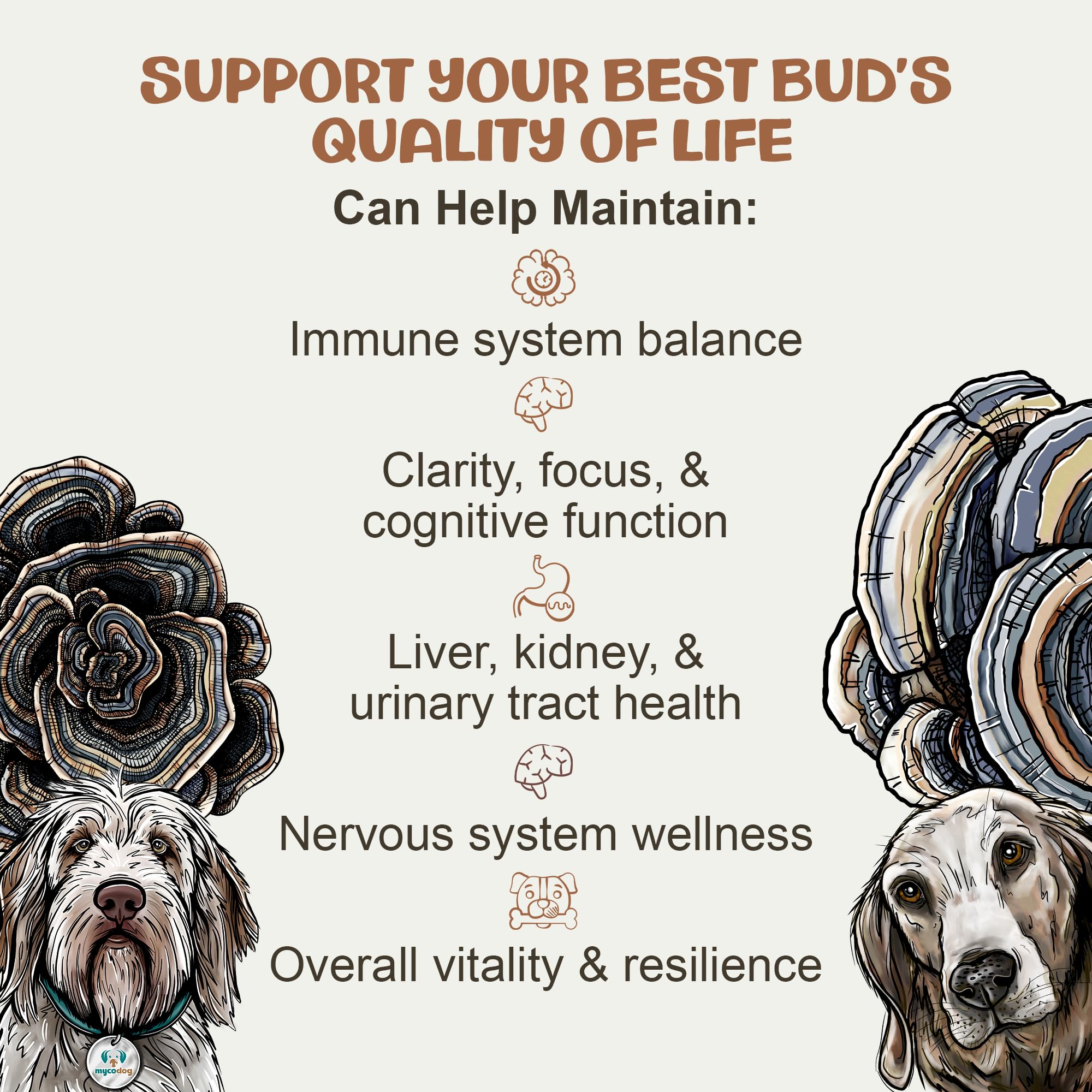 MycoDog Turkey Tail Mushroom for Dogs - Daily Immune Wellness Drops — Amazon image 4