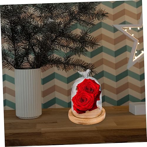 Miniatura 8 de SOIMISS Cubierta de cristal de flor Eternal Flower Glass Cakes Glass Cloches para plantas Portavelas transparente Recipientes de postre