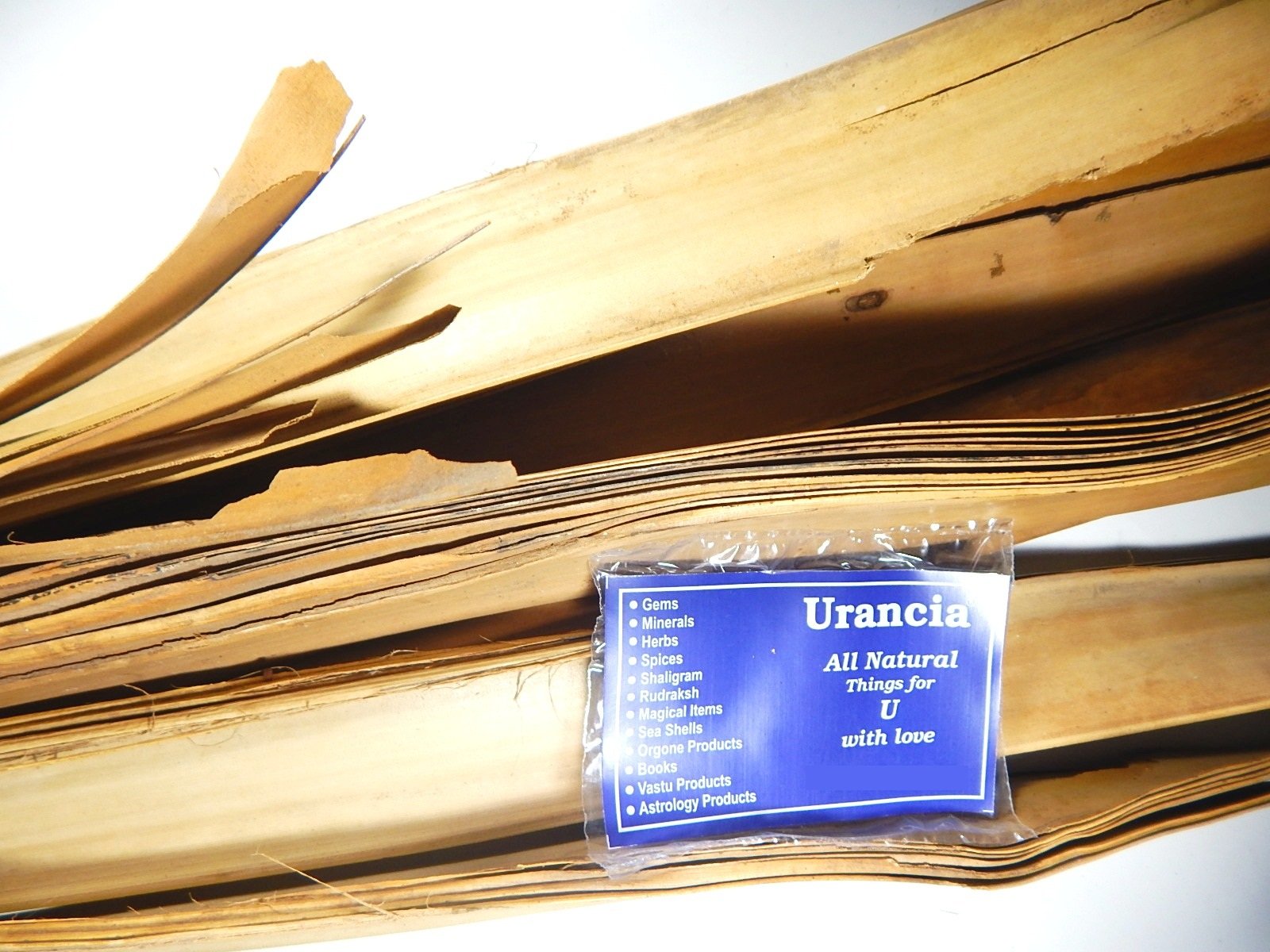 Urancia® Palm Leaf 10 Pcs for Manuscript Writing