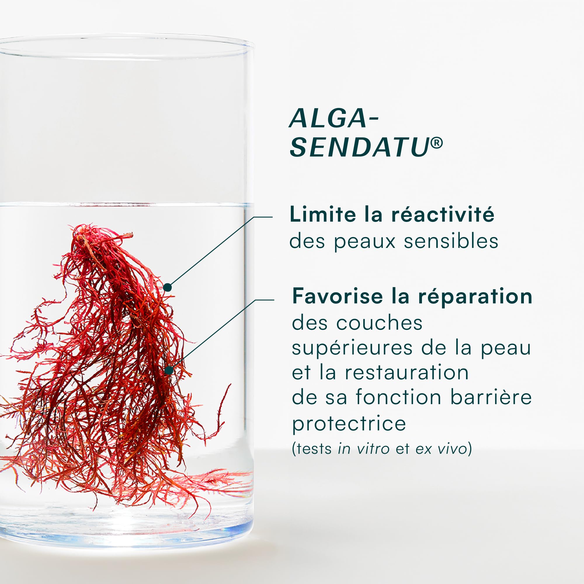 Laboratoires de Biarritz CICA Repa Crème Réparatrice Bio 100 ml