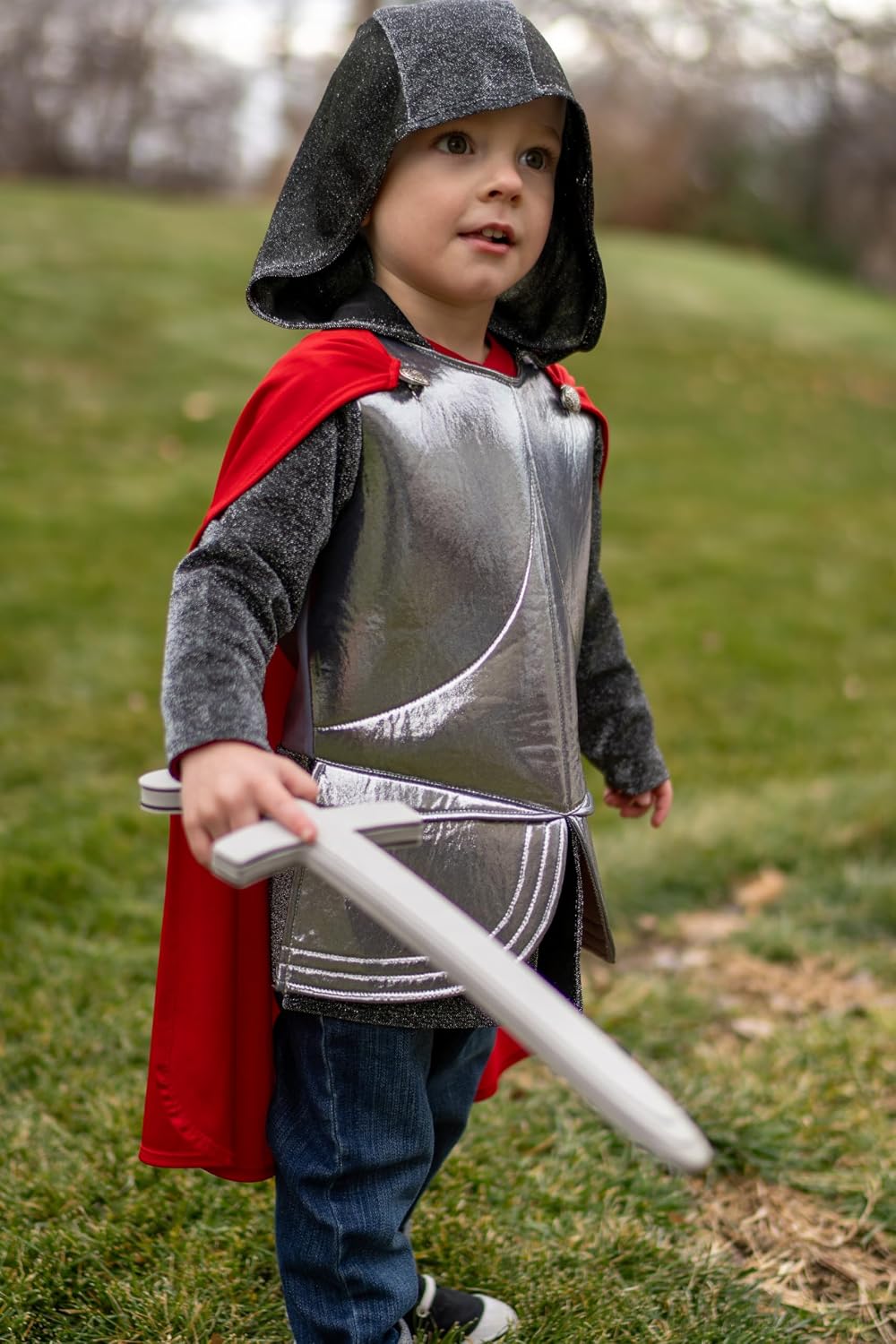 Little Adventures Knight King Costume with Silver King Crown and Toy Foam Sword and Shield Set Bundle (Size Large Age 5-7) image 2