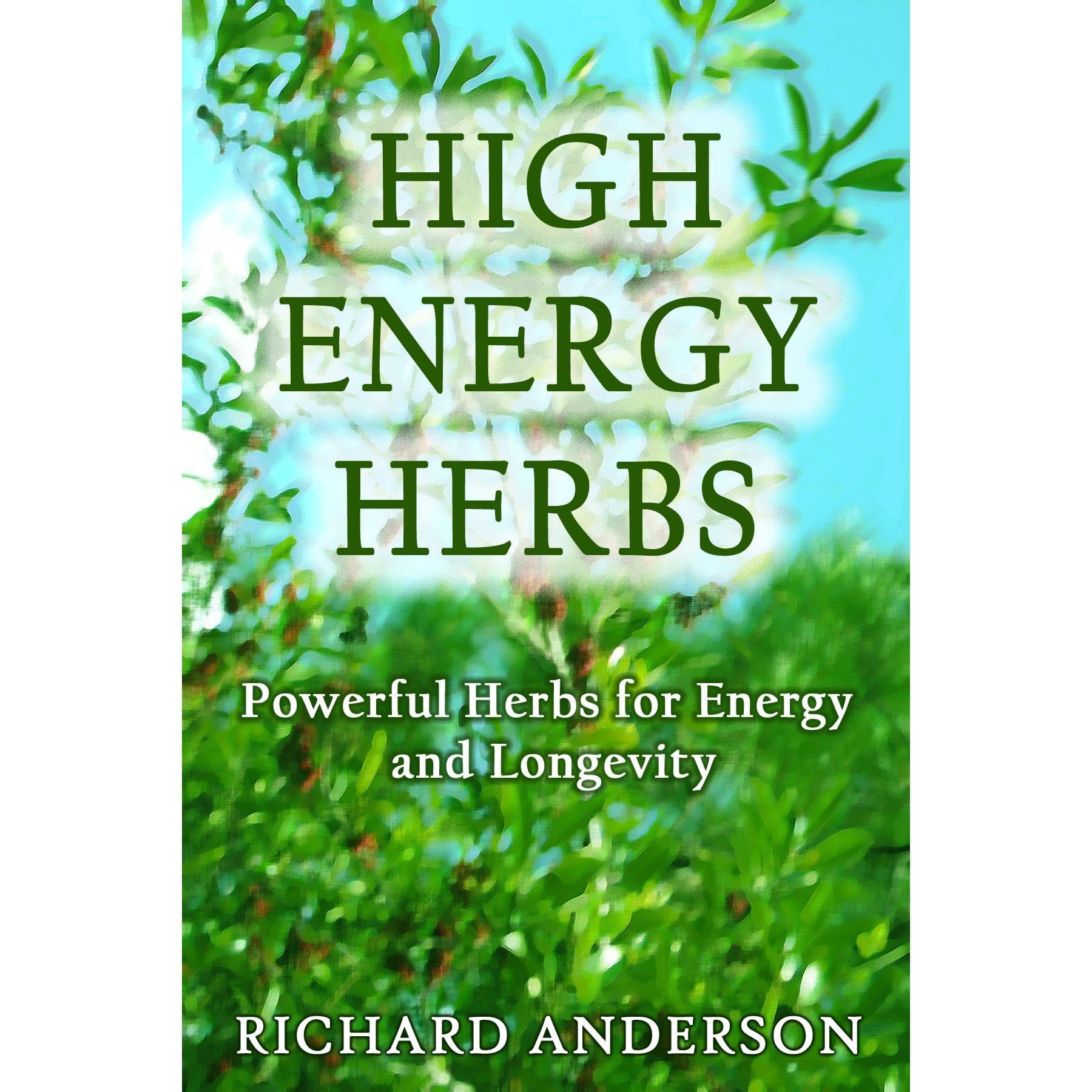 High Energy Herbs