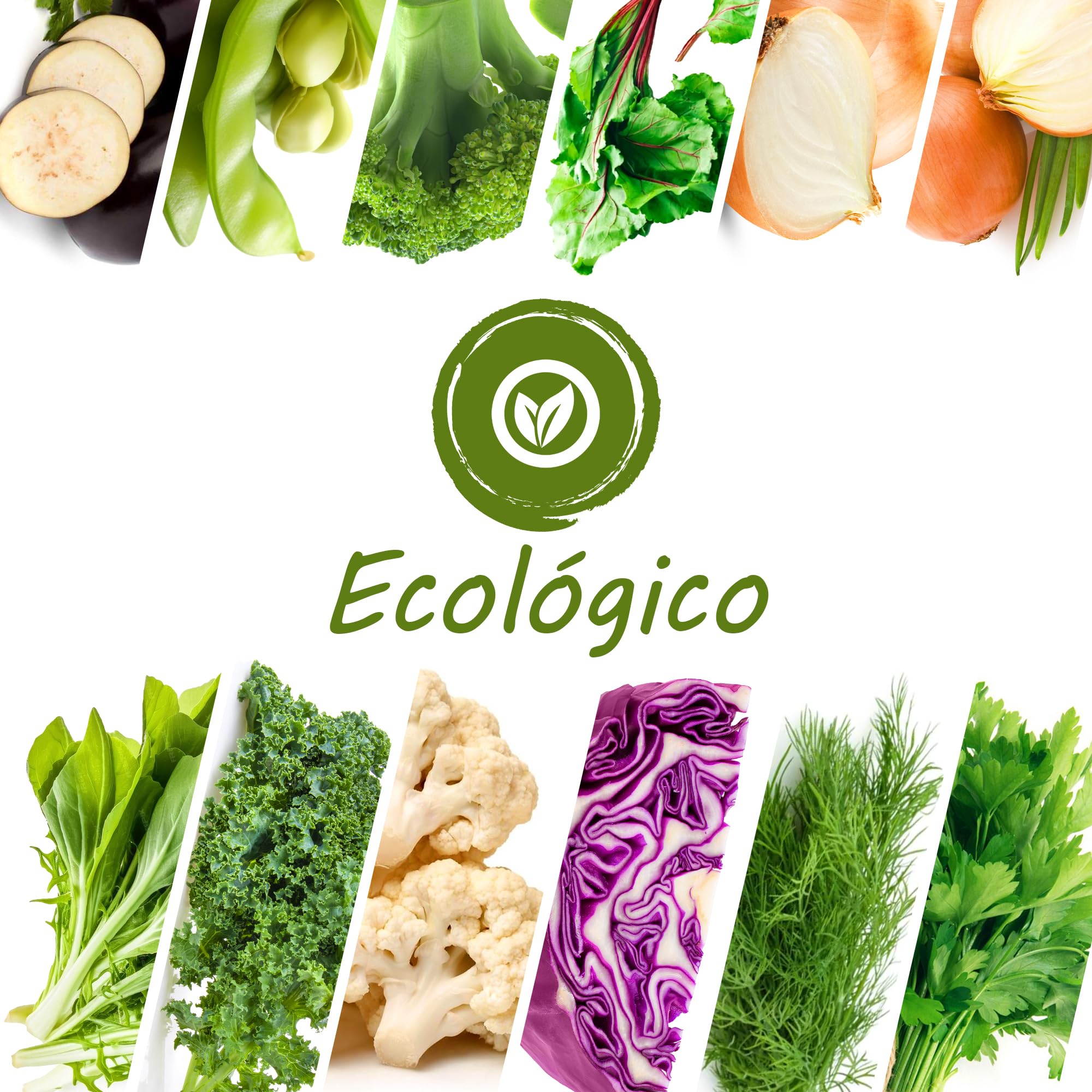 TORAF set de semillas de hortalizas 5x12 pack, kit semillas huerto semillas ecologicas para cocina, balcón y jardín, berenjena, remolacha, cebollas, col, eneldo, coliflor y otros, owngrown