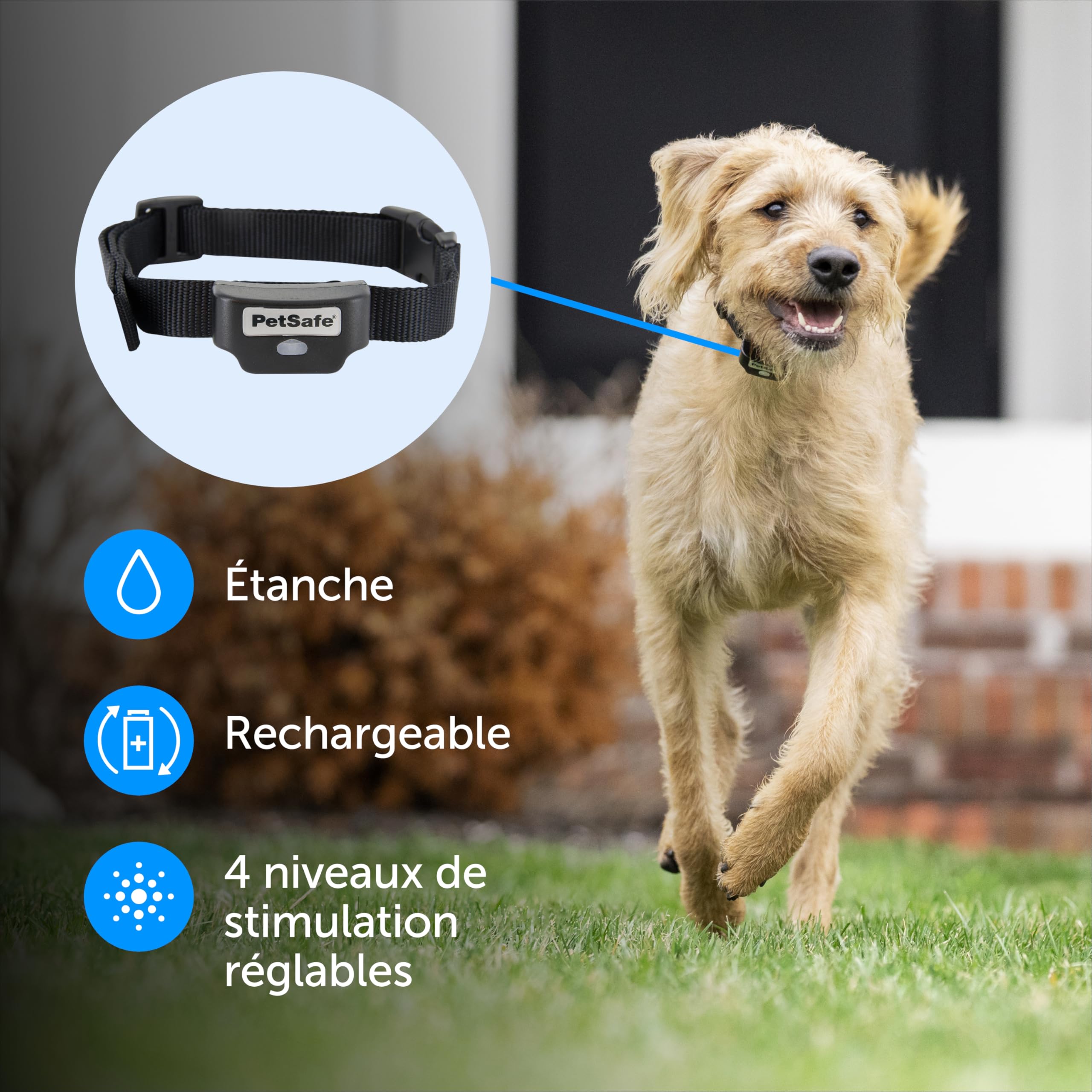 PetSafe PIG19-16413 - Cercado antifuga con hilo con collar recargable, fácil de instalar y resistente al agua