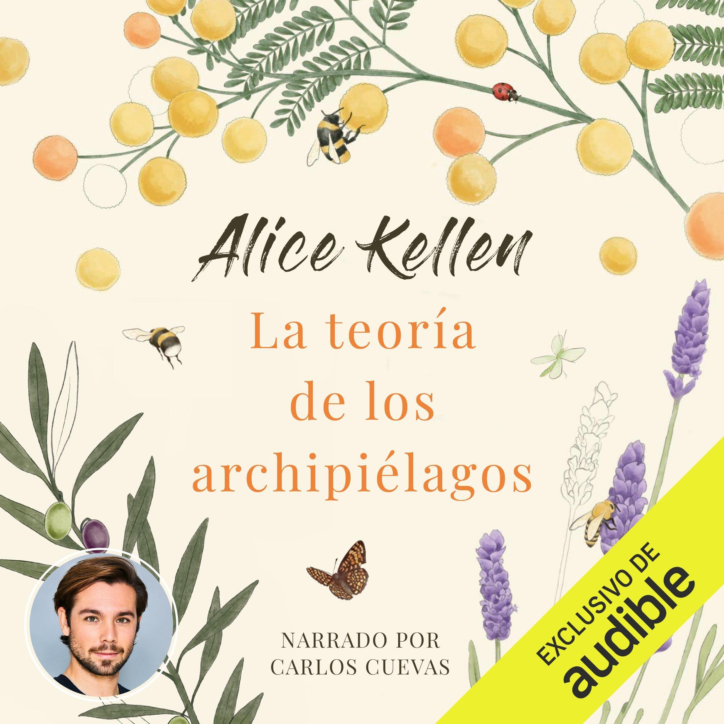 Cover art for La teoría de los archipiélagos