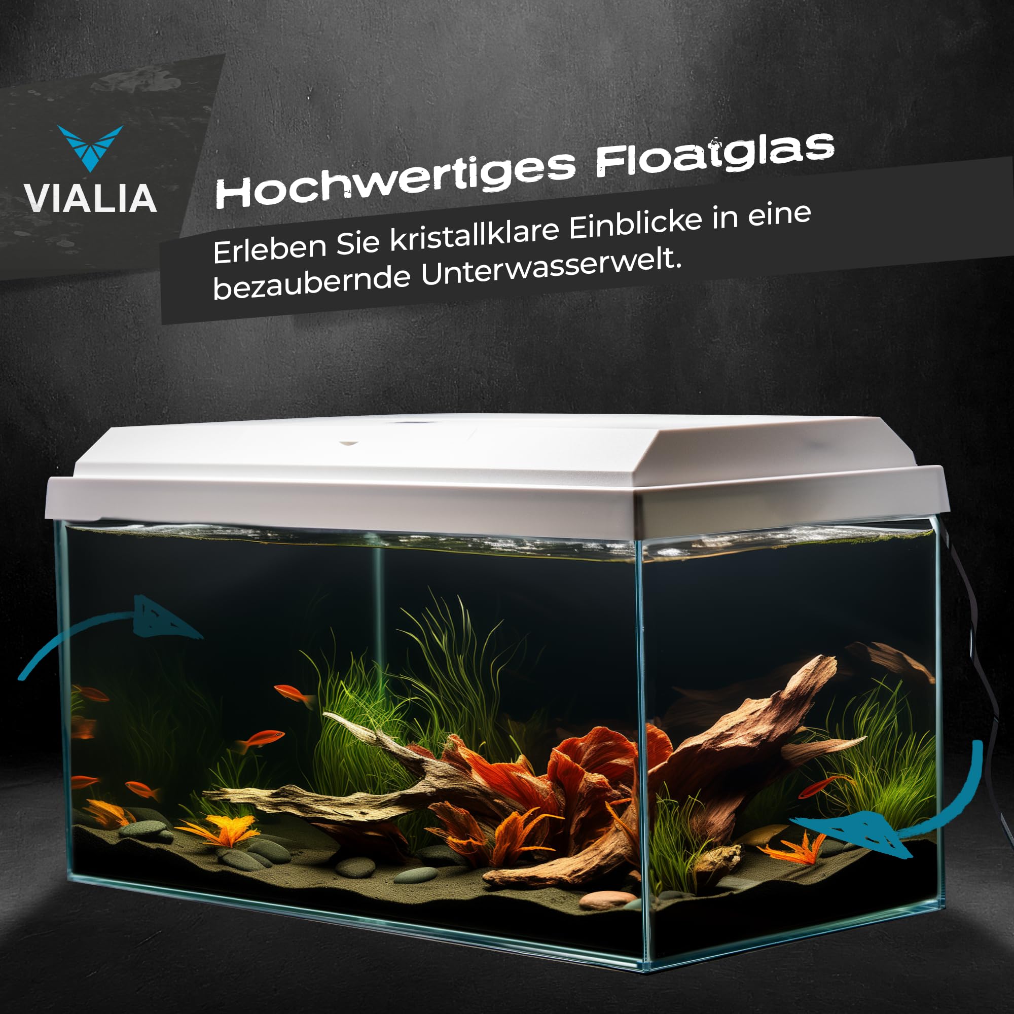 Aquarium 60x30x30 cm, 54 Liter Glasbecken mit Juwel LED, weiß | Kompaktes Süßwasser- und Meerwasser-Aquarium mit weißer Abdeckung, integrierter LED-Beleuchtung und Futterklappe