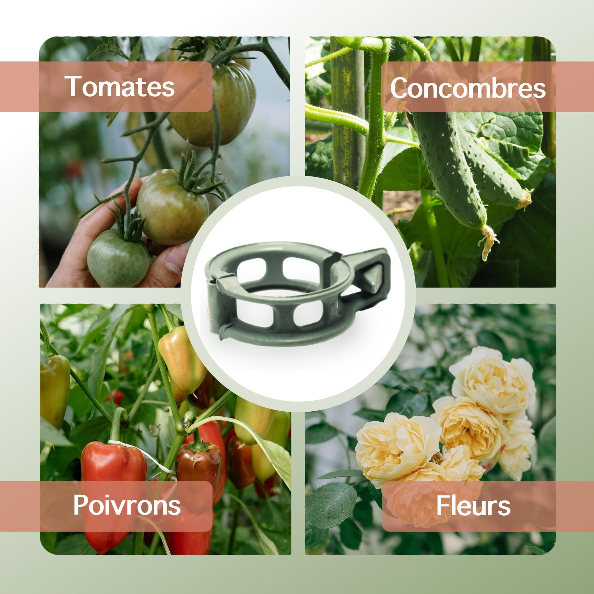 SUPPORT POUR PLANTES Grimpantes Pieux De Pivoine D'intérieur En Pot EUR