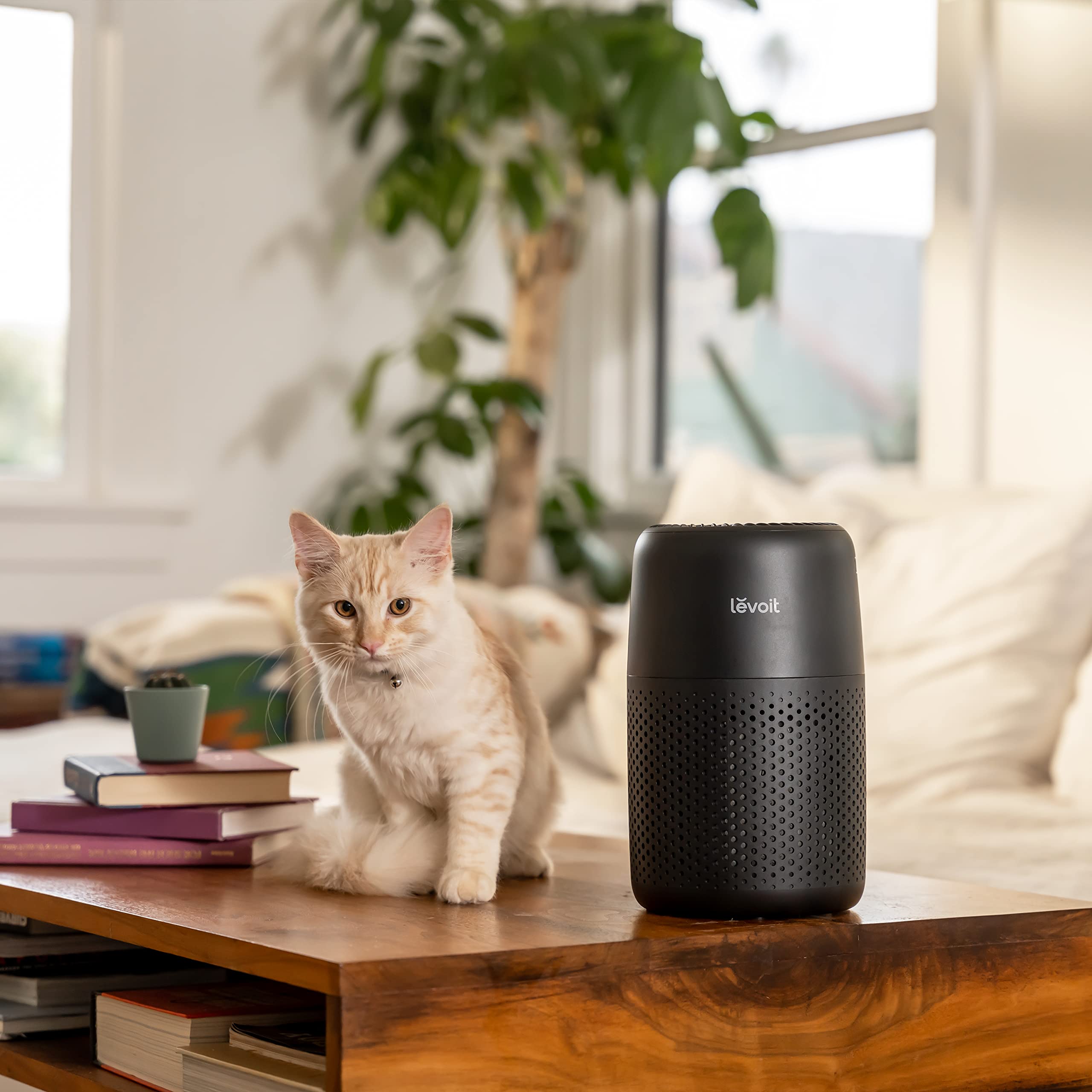 LEVOIT Air Purifiers For Bedroom Home, HEPA Filter -Cleaner With Fragrance Sponge For Better Sleep, -Filters Smoke, Allergies, Pet Dander, Odor, Dust, Office, Desktop, Portable, Core Mini, Black