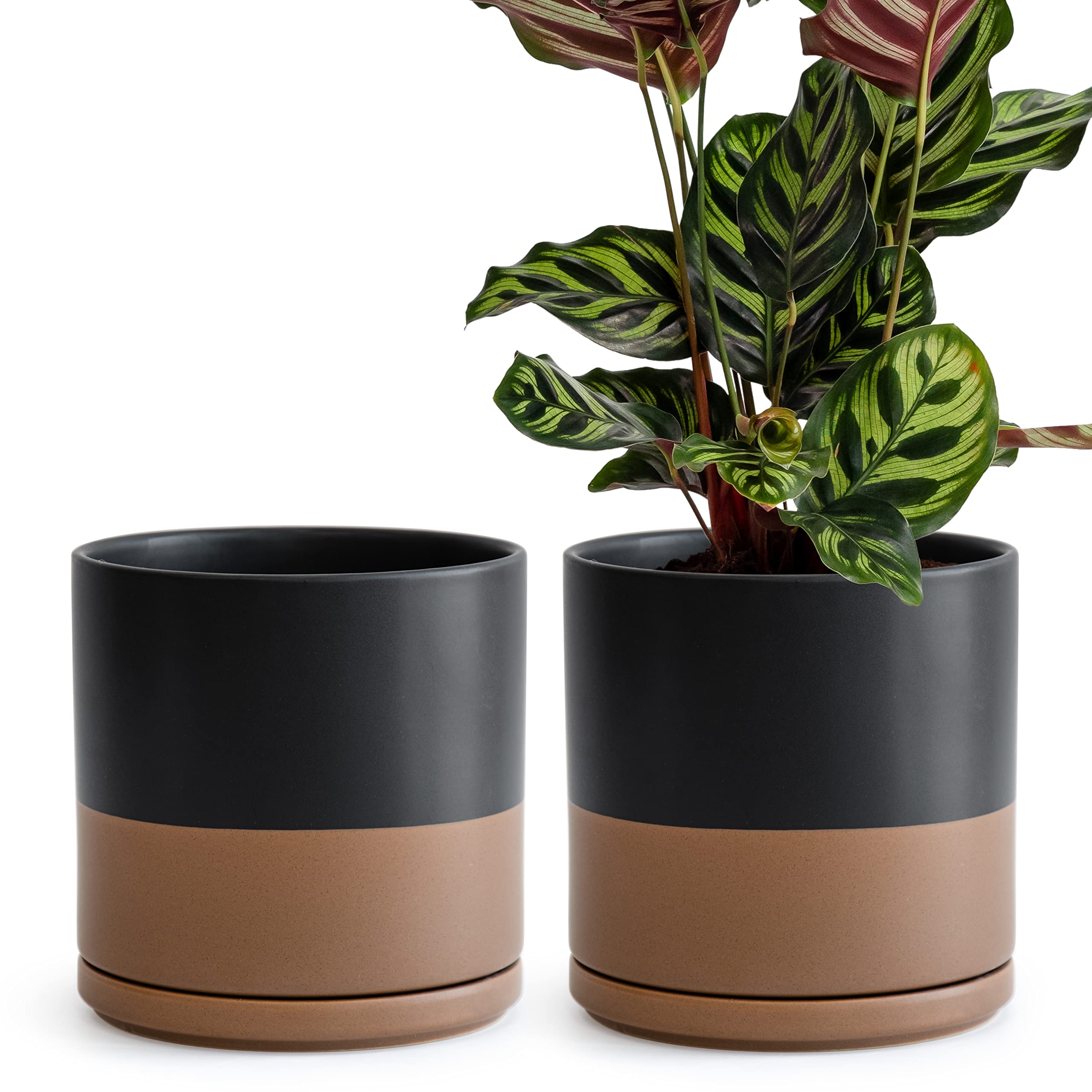 D'vine Dev Set of 2 Plants Pots, 8 Inch Ceramic Planter Pot for Plants with Drainage Hole and Saucer, Black/Speckled Tan, 94-V-D-7
