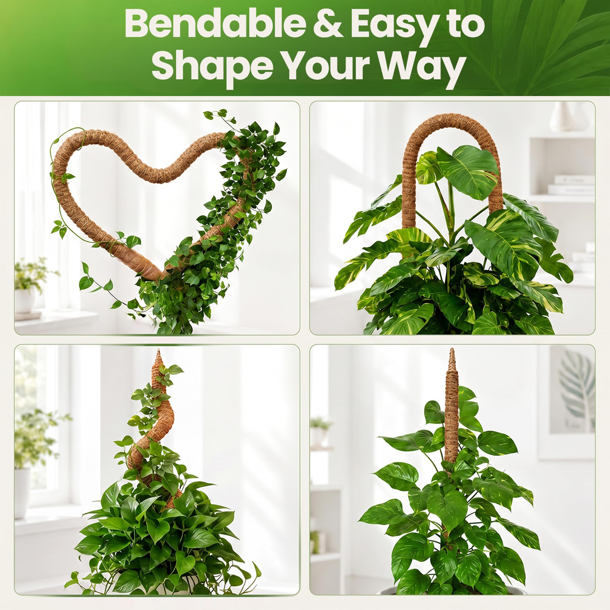 K-Brands Lot de 2 piquets en Mousse – Support de Plante Monstera de 160 cm – Poteaux en Mousse pour Plantes grimpantes Monstera – Support Pliable pour Plantes d'intérieur