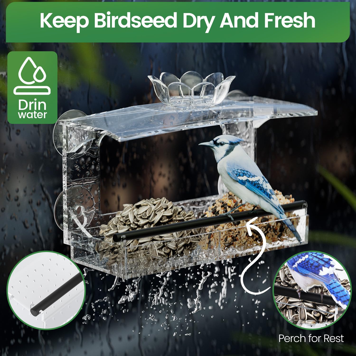 Clear Window Bird Feeder - Bird Watching -4 Clear Window Bird Feeder - Bird Watching -4