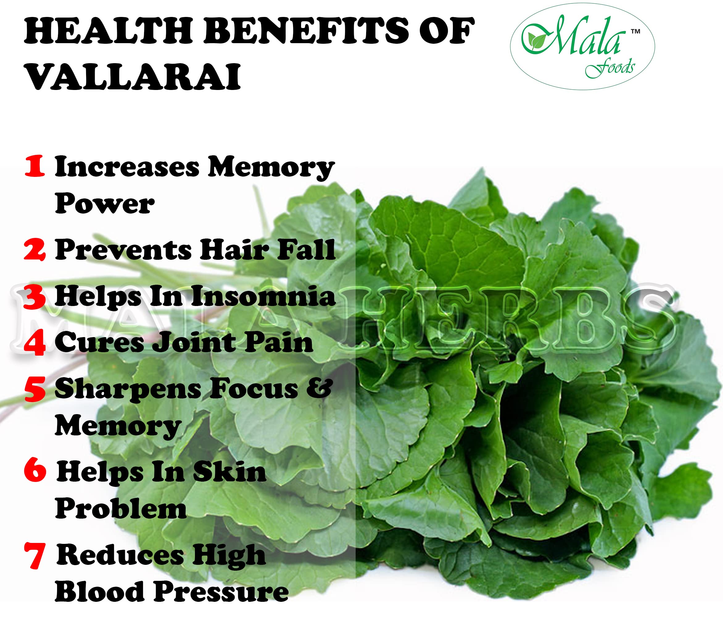 MALA : Vallarai keerai powder | Bacopa powder | Brahmi powder - 250 Gm — Amazon image 2