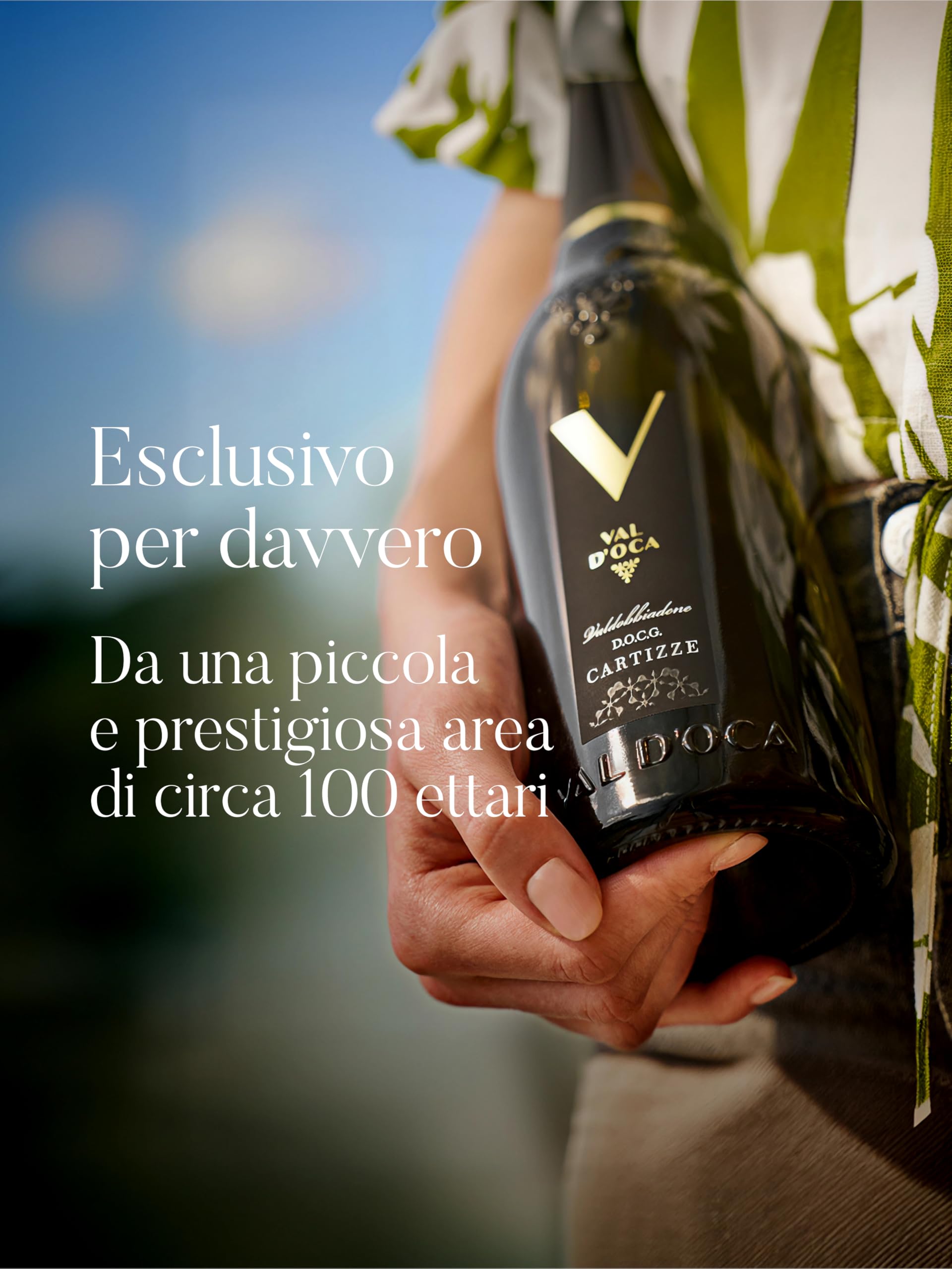 6 bottiglie CARTIZZE Prosecco Valdobbiadene Superiore DOCG VAL D OCA