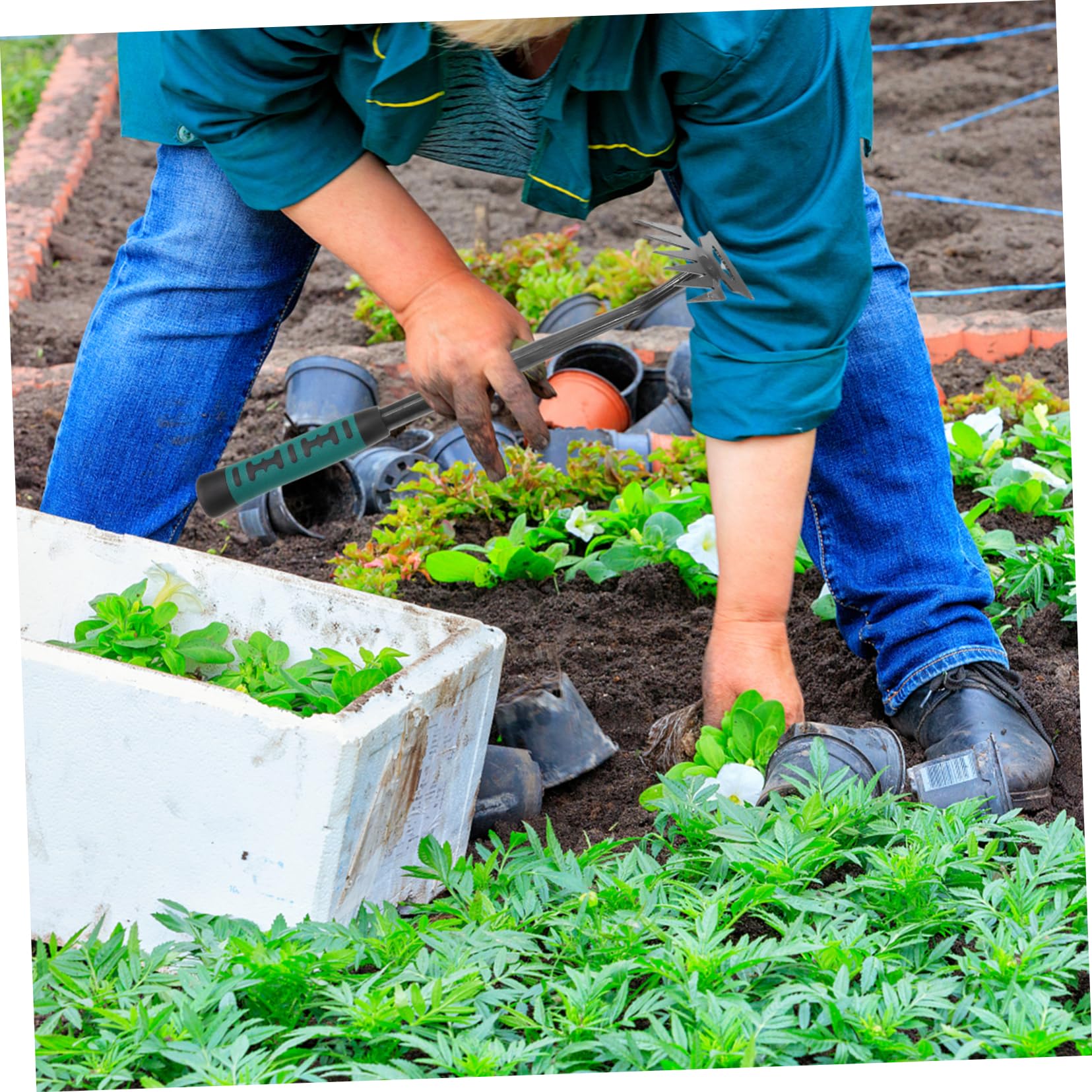 Toddmomy 5stücke Gartenwerkzeug Multifunktionaler Edelstahl Unkrautstecher Leichter Handweeder Mit Zähnen Für Effektives Jäten Und Entfernen Von Wurzeln Für Gartenpflege