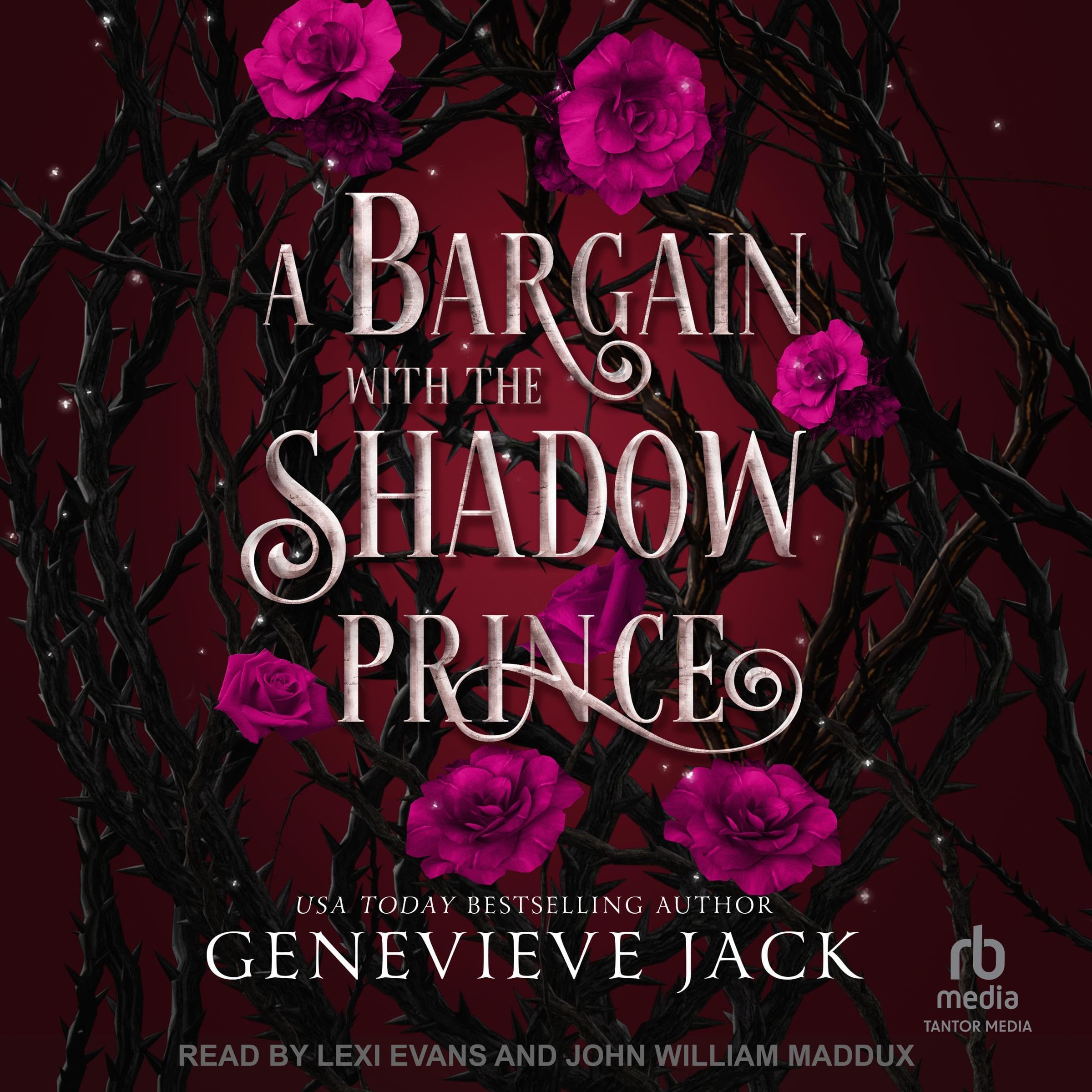 Cover art for A Bargain with the Shadow Prince